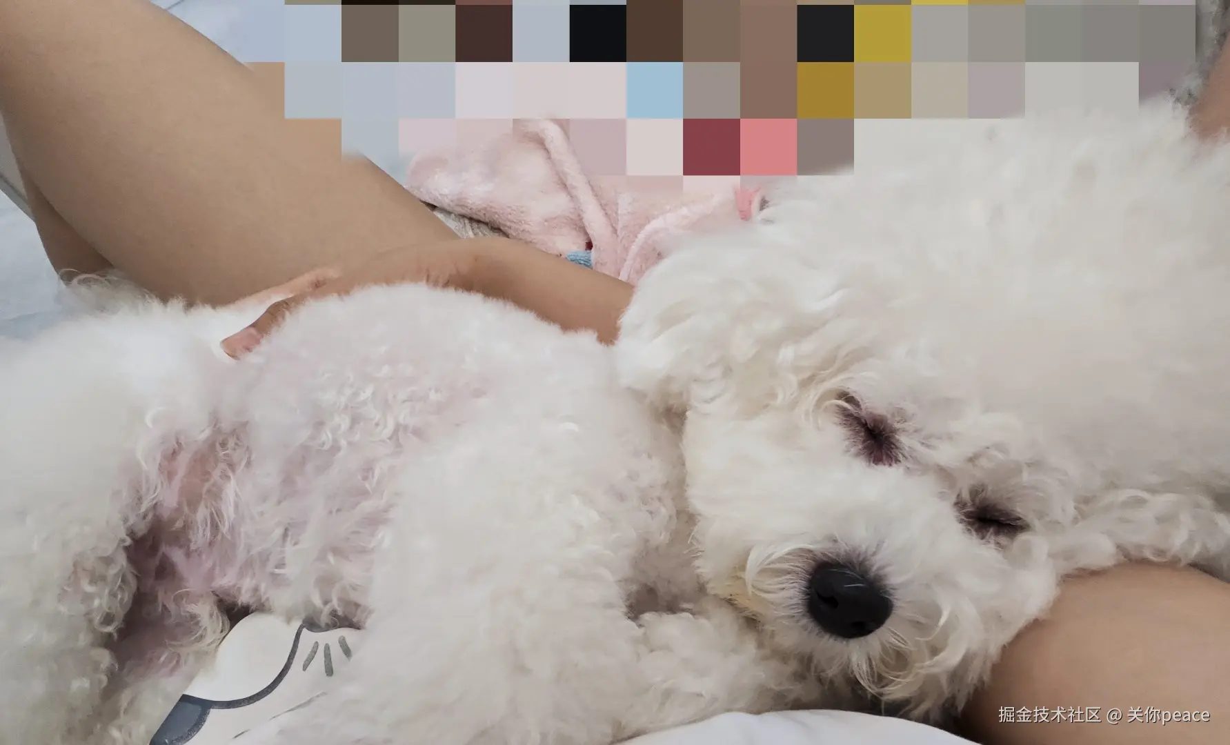 关你peace于2024-10-18 10:20发布的图片