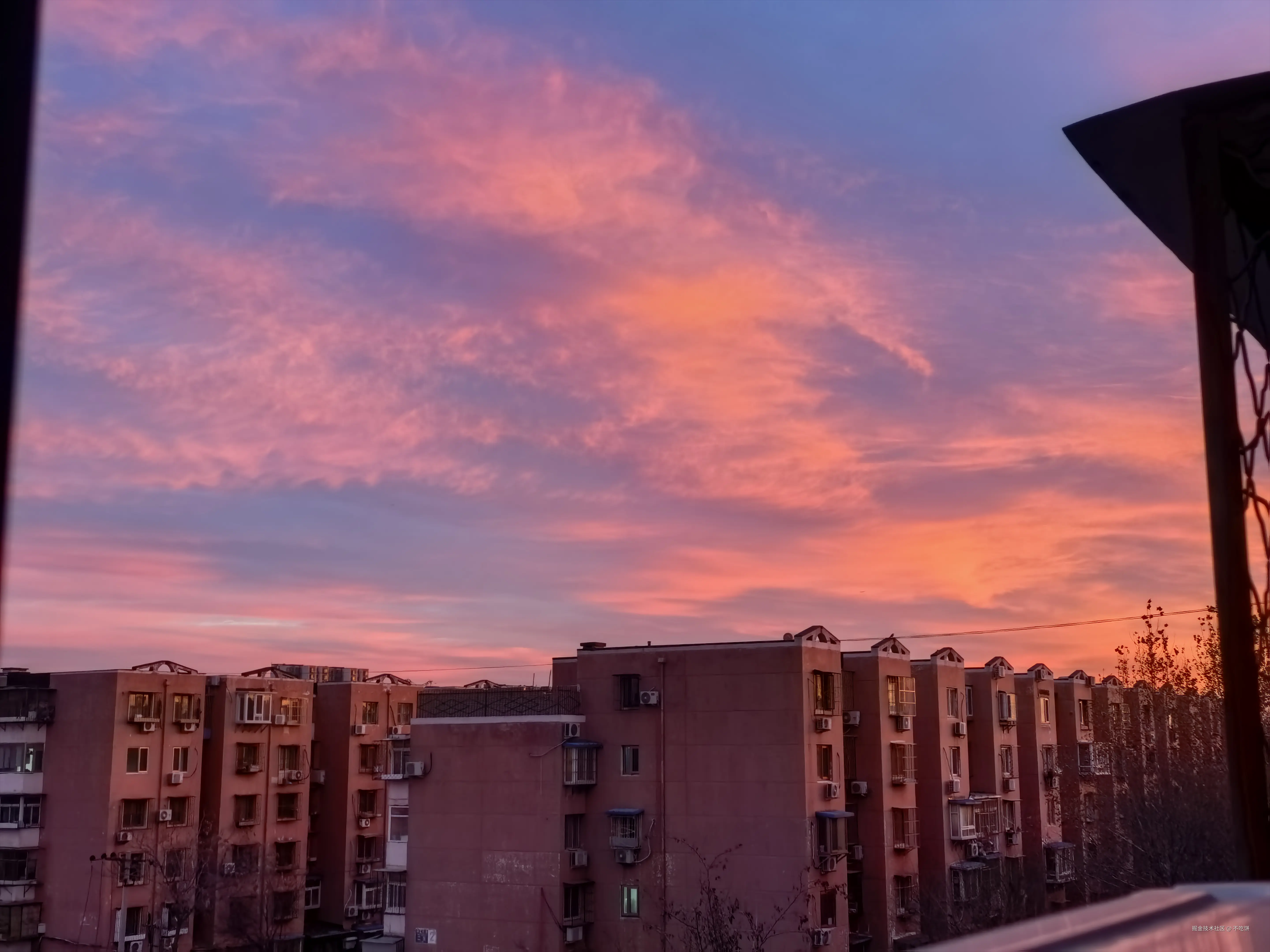 不吃饼于2024-12-16 11:11发布的图片