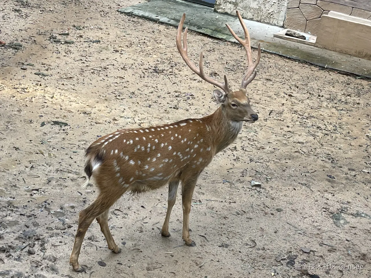 nsee于2025-08-21 16:35发布的图片