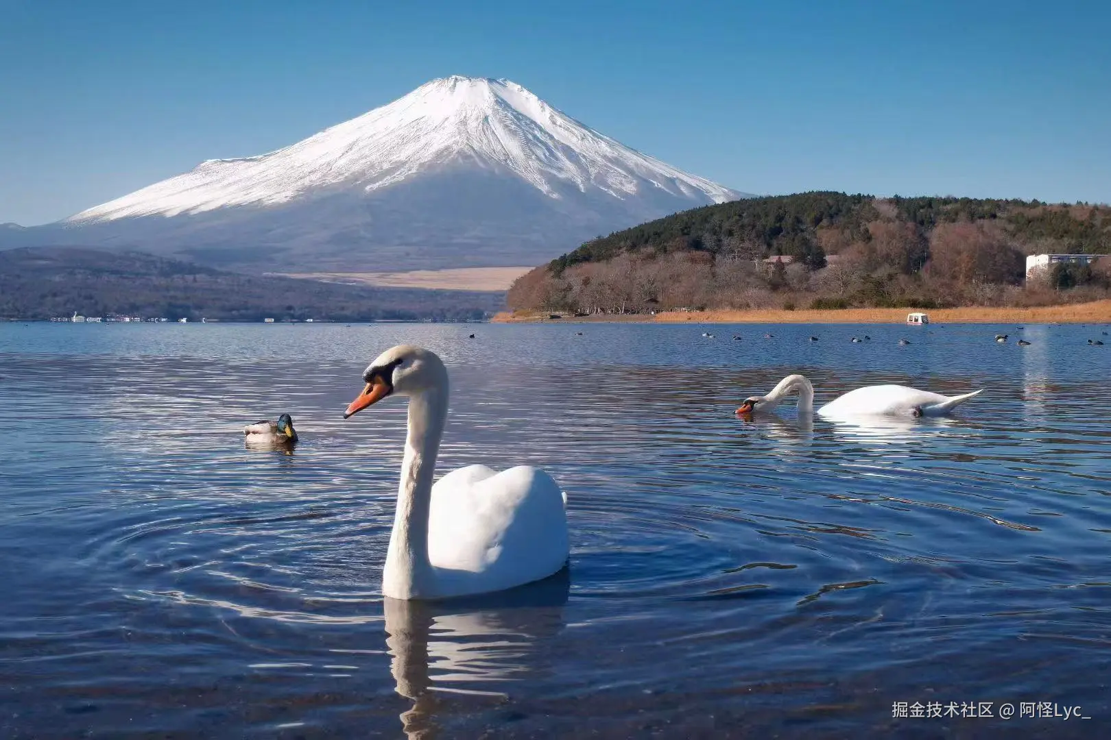 阿怪Lyc_于2025-12-30 10:57发布的图片