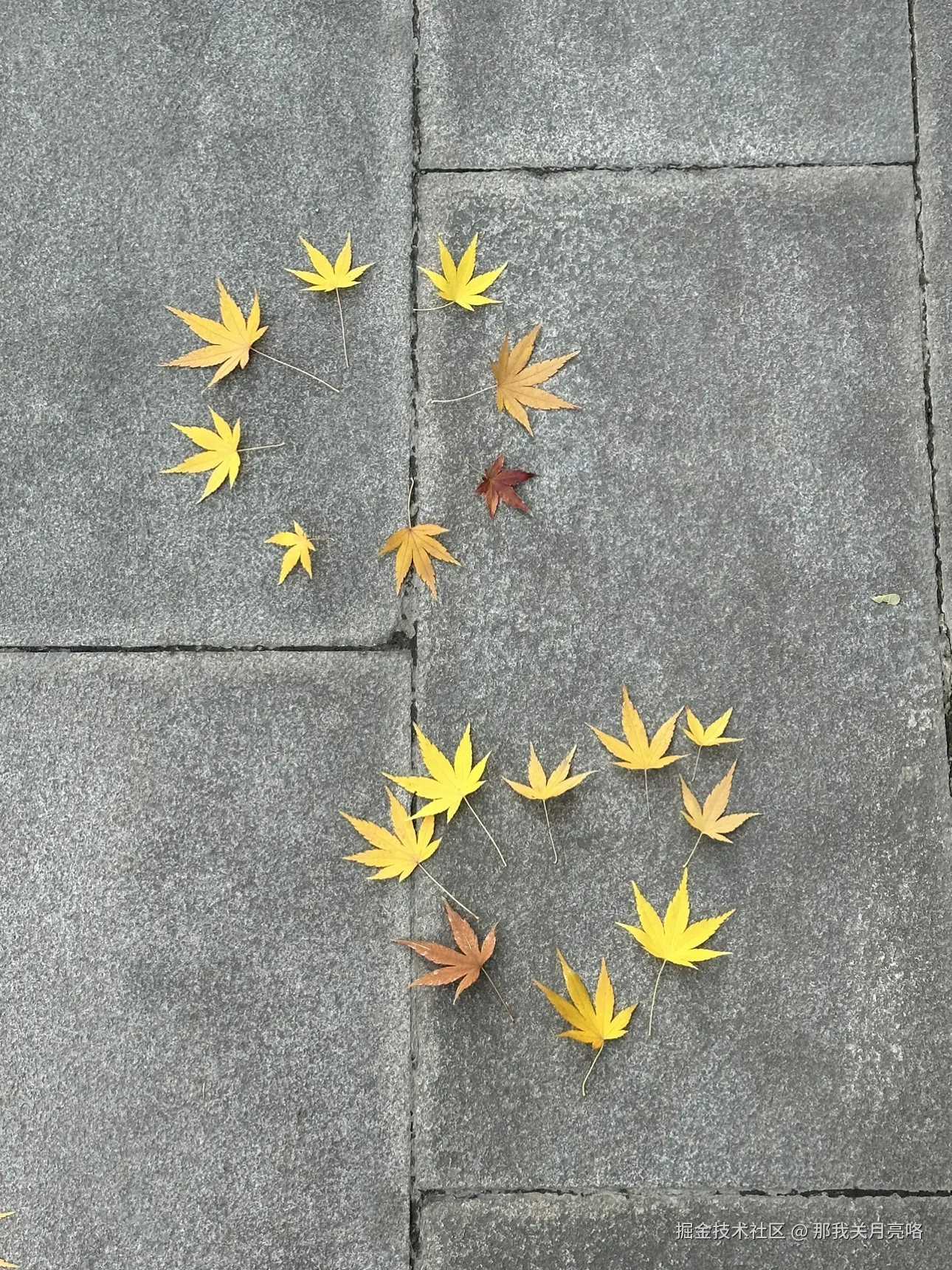 那我关月亮咯于2024-12-24 08:13发布的图片