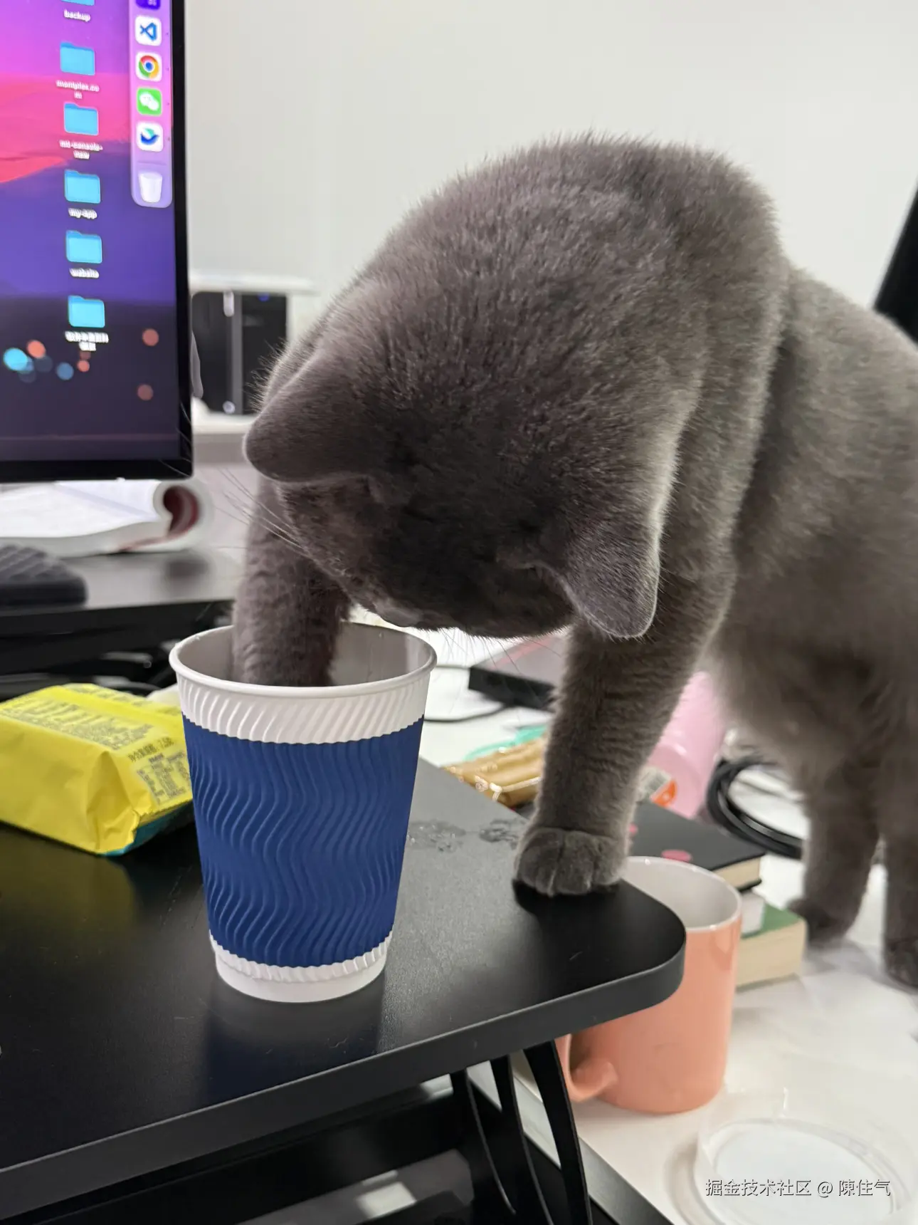 陳住气于2024-11-21 15:38发布的图片