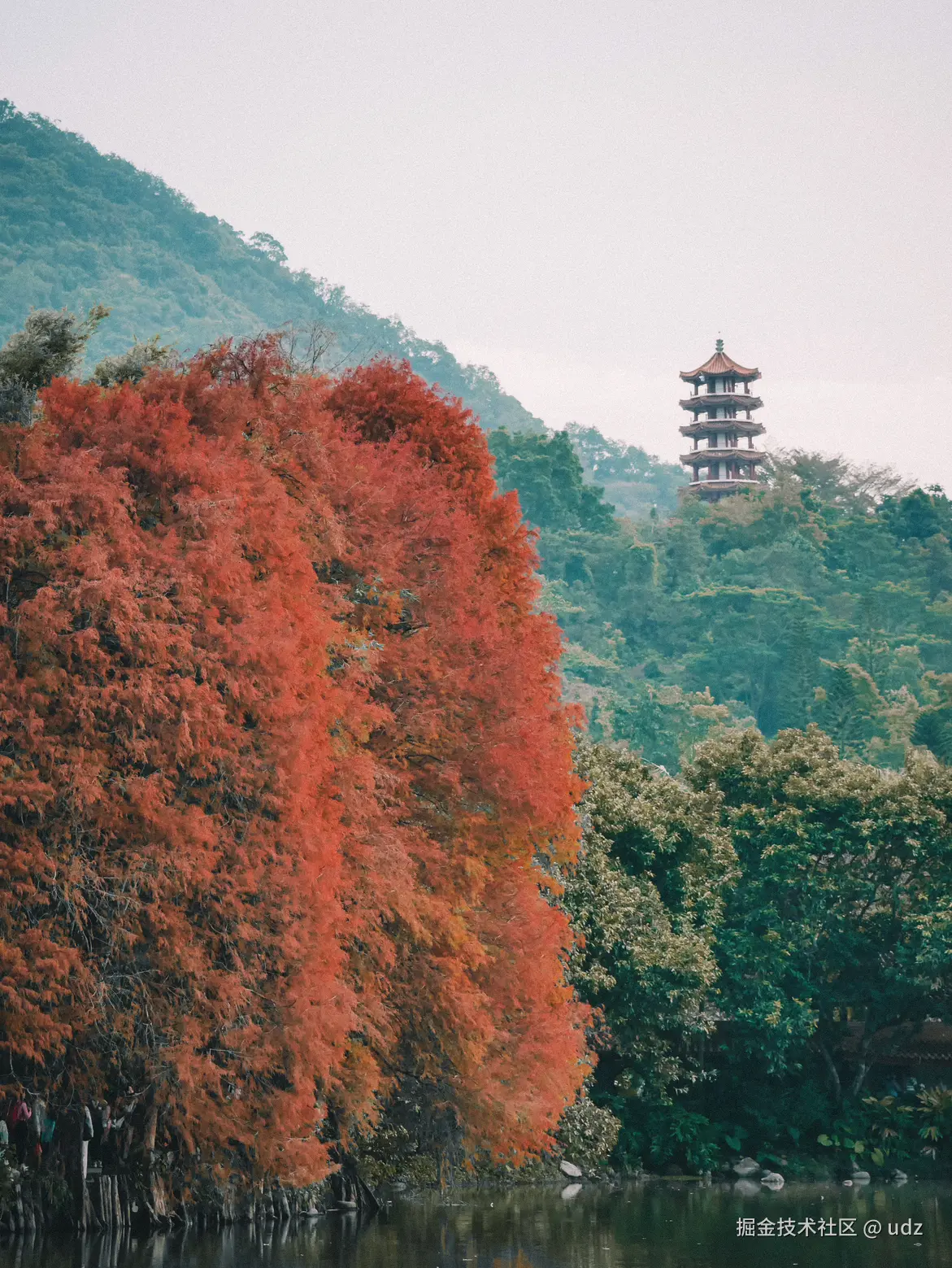 udz于2025-01-18 09:26发布的图片