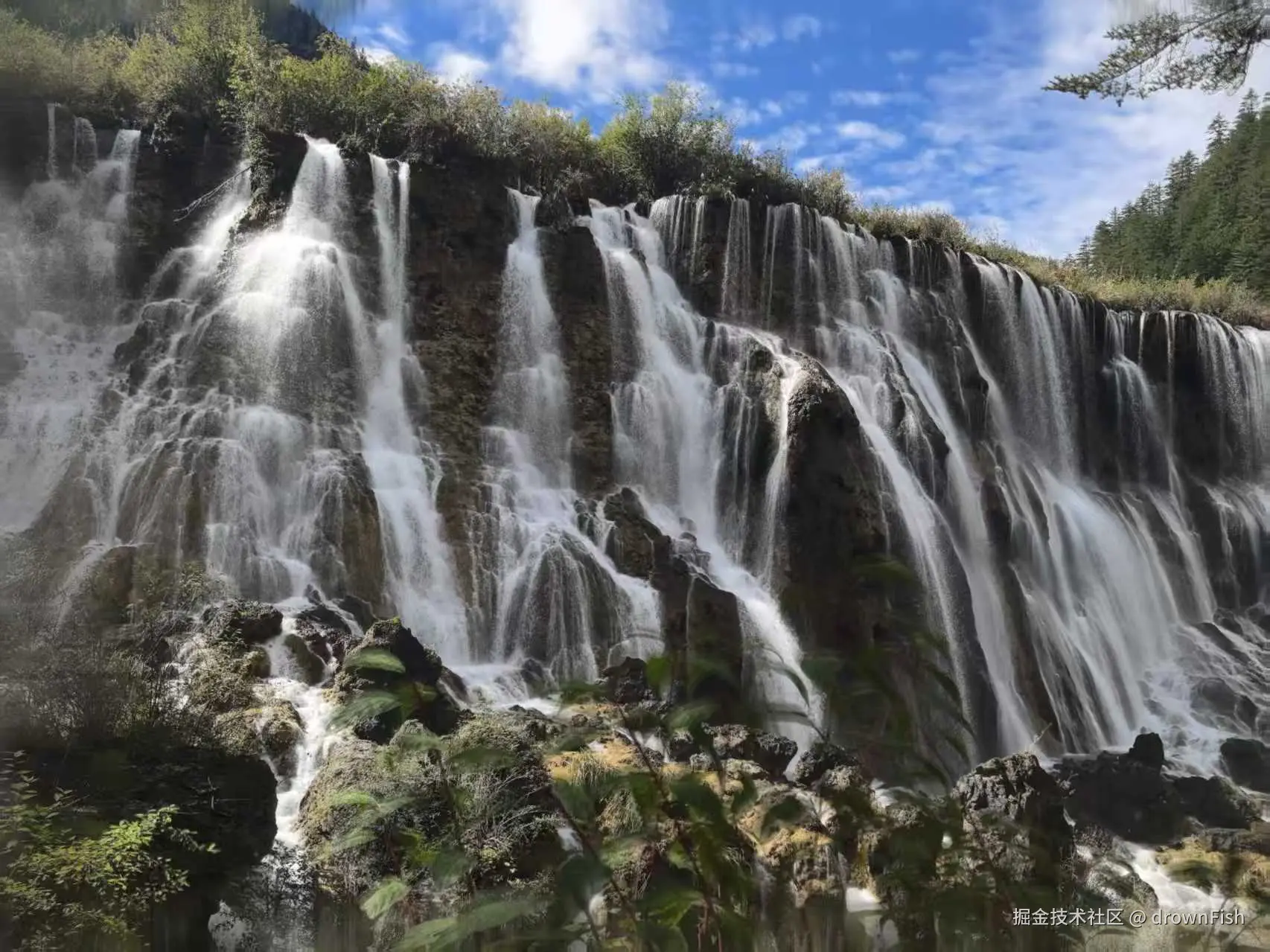 drownFish于2025-10-09 09:42发布的图片