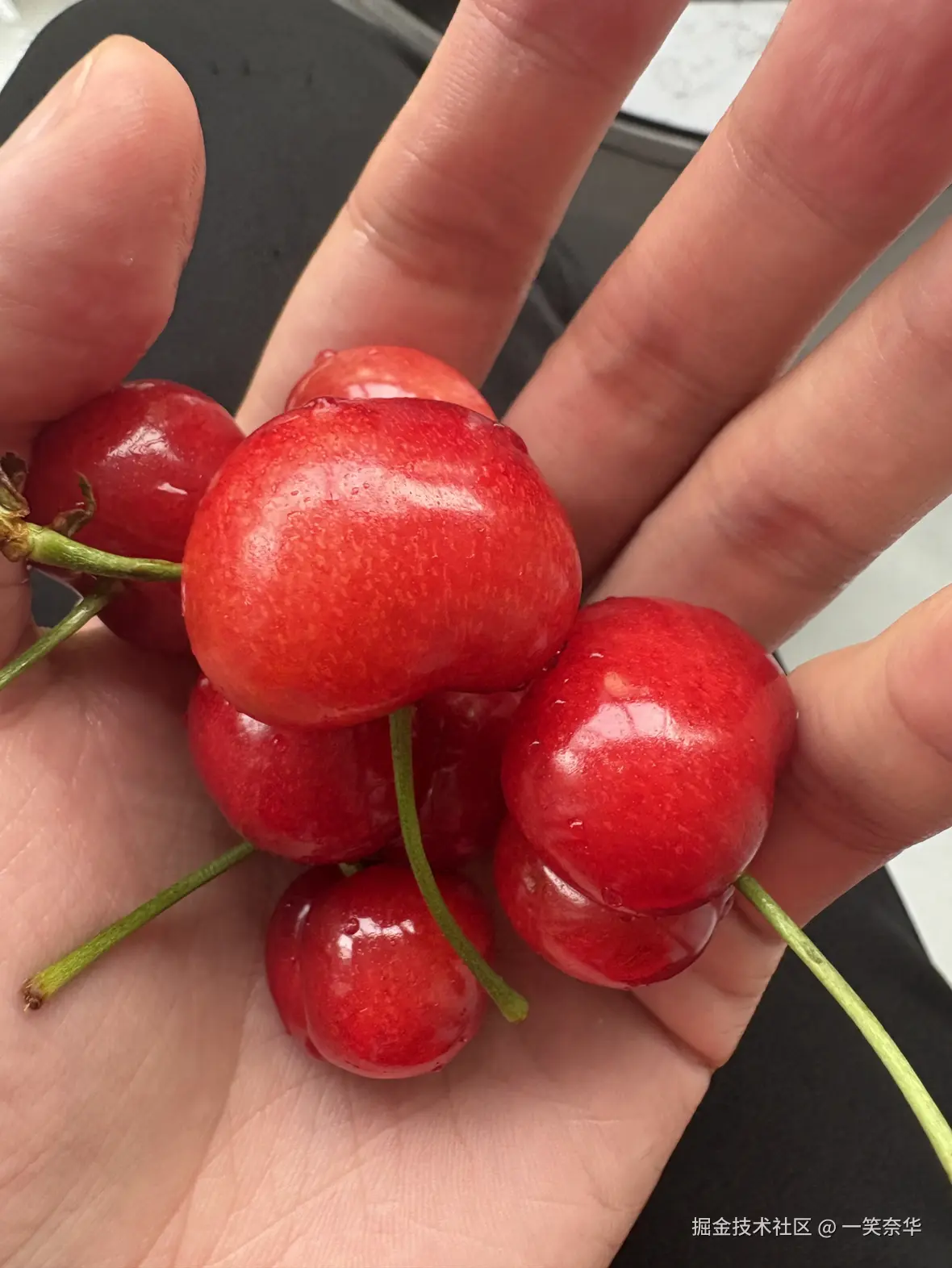 一笑奈华于2025-06-23 13:16发布的图片