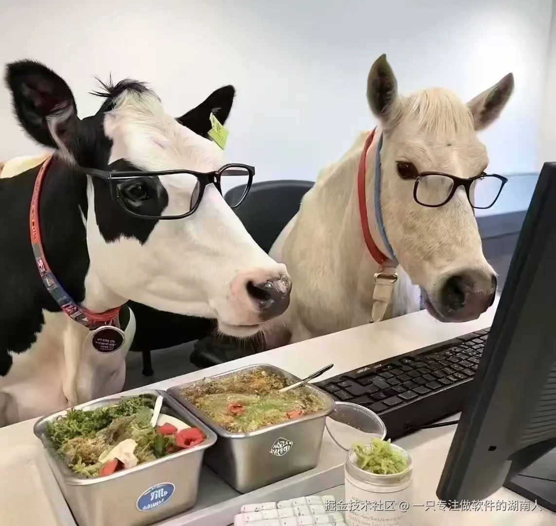 跨境电商从0-100历程