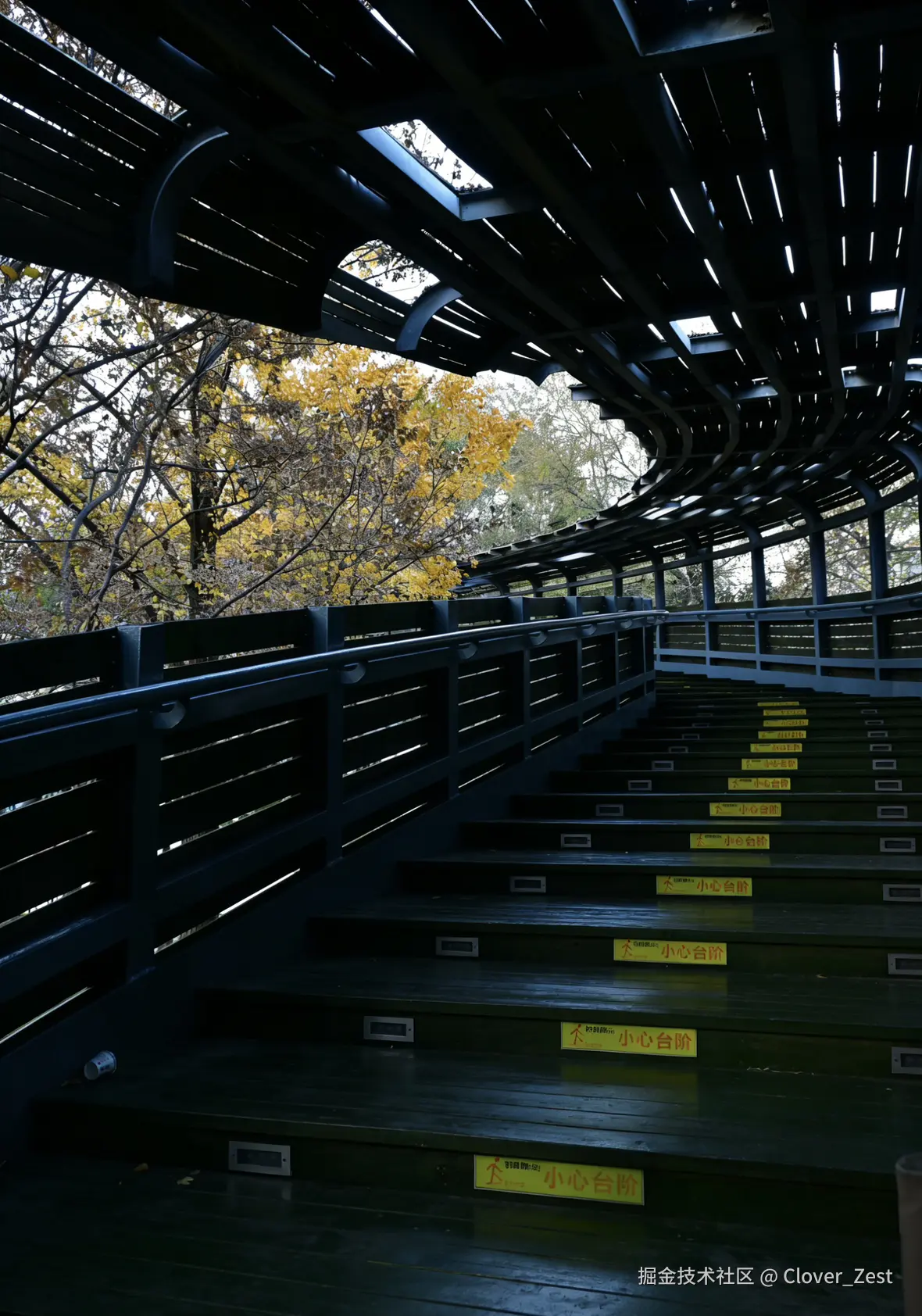 Clover_Zest于2025-12-08 10:12发布的图片