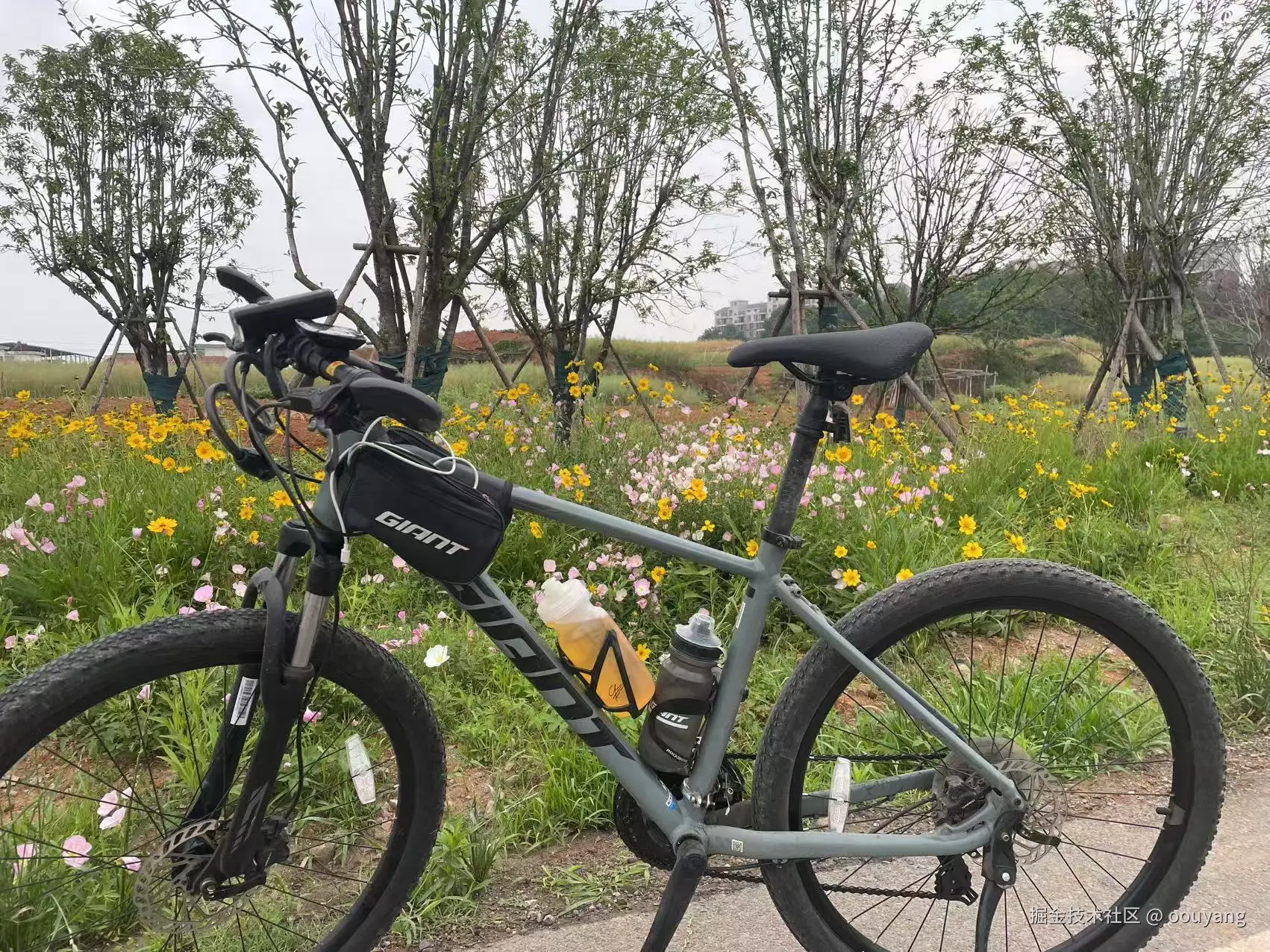 oouyang于2025-05-06 16:00发布的图片