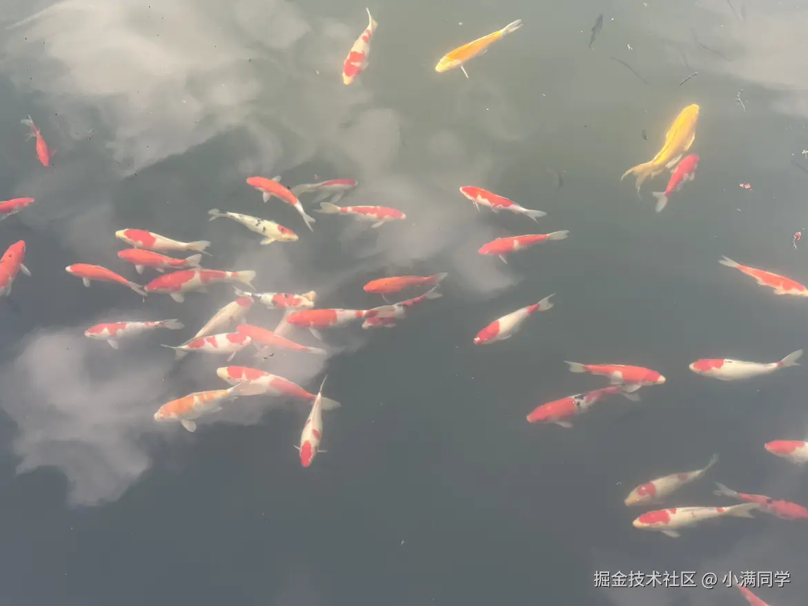 小满同学于2025-11-24 15:40发布的图片