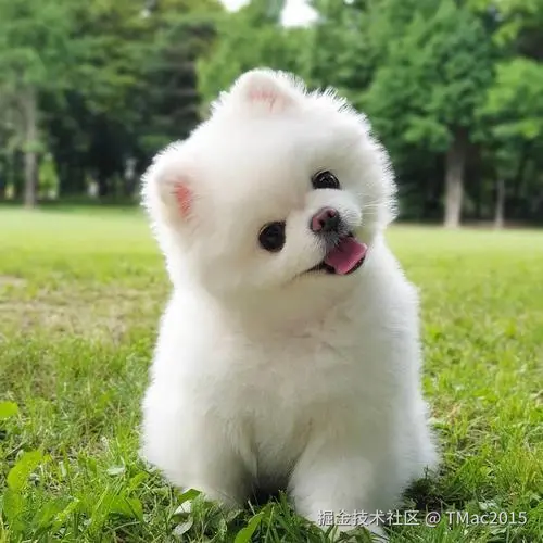 TMac2015于2024-08-13 13:09发布的图片