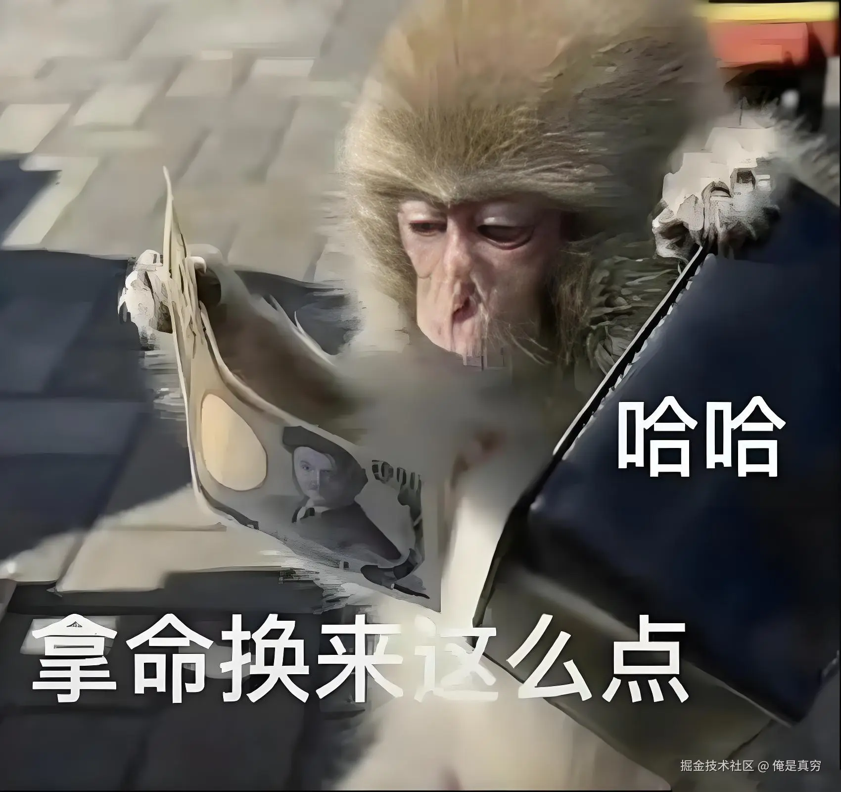 俺是真穷于2025-09-28 10:21发布的图片