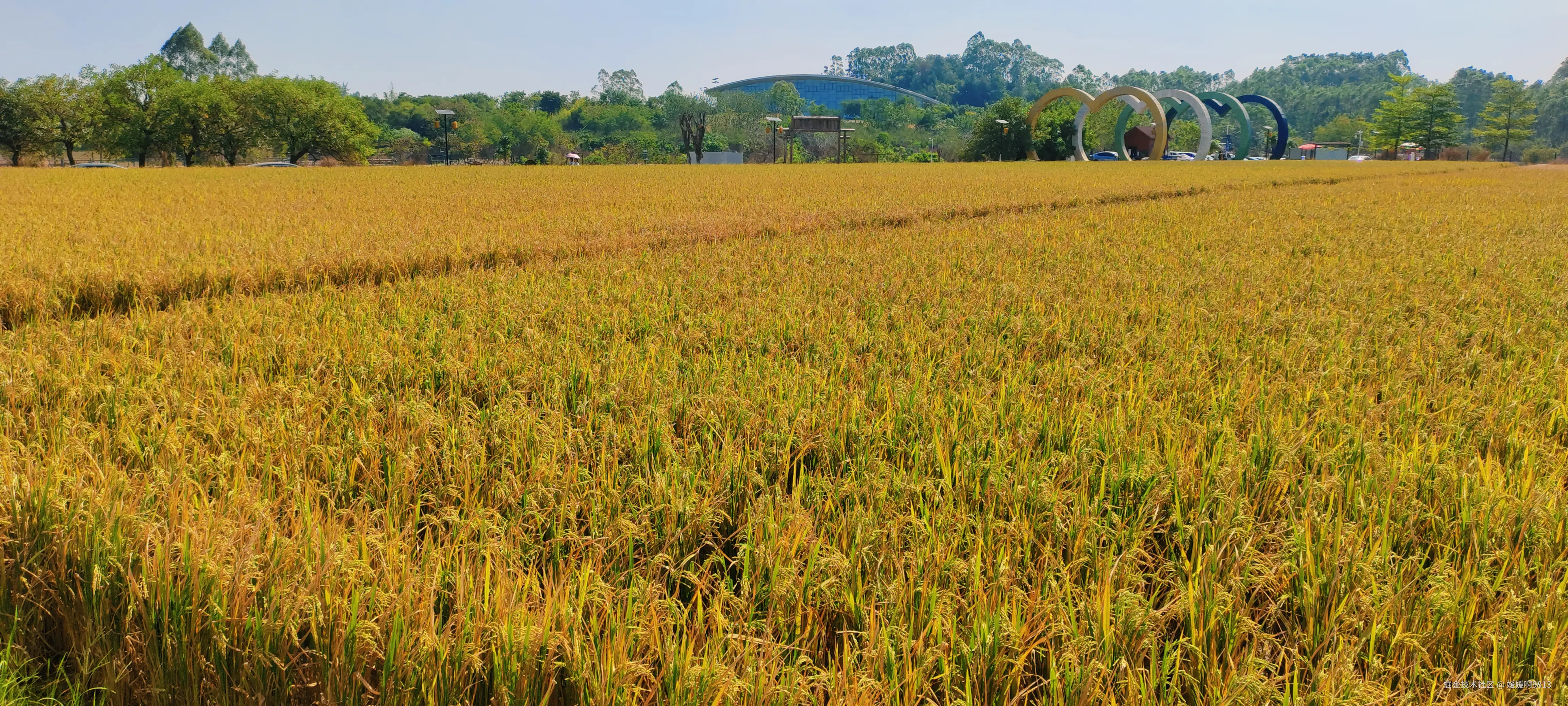 媛媛啊9813于2024-11-03 07:19发布的图片