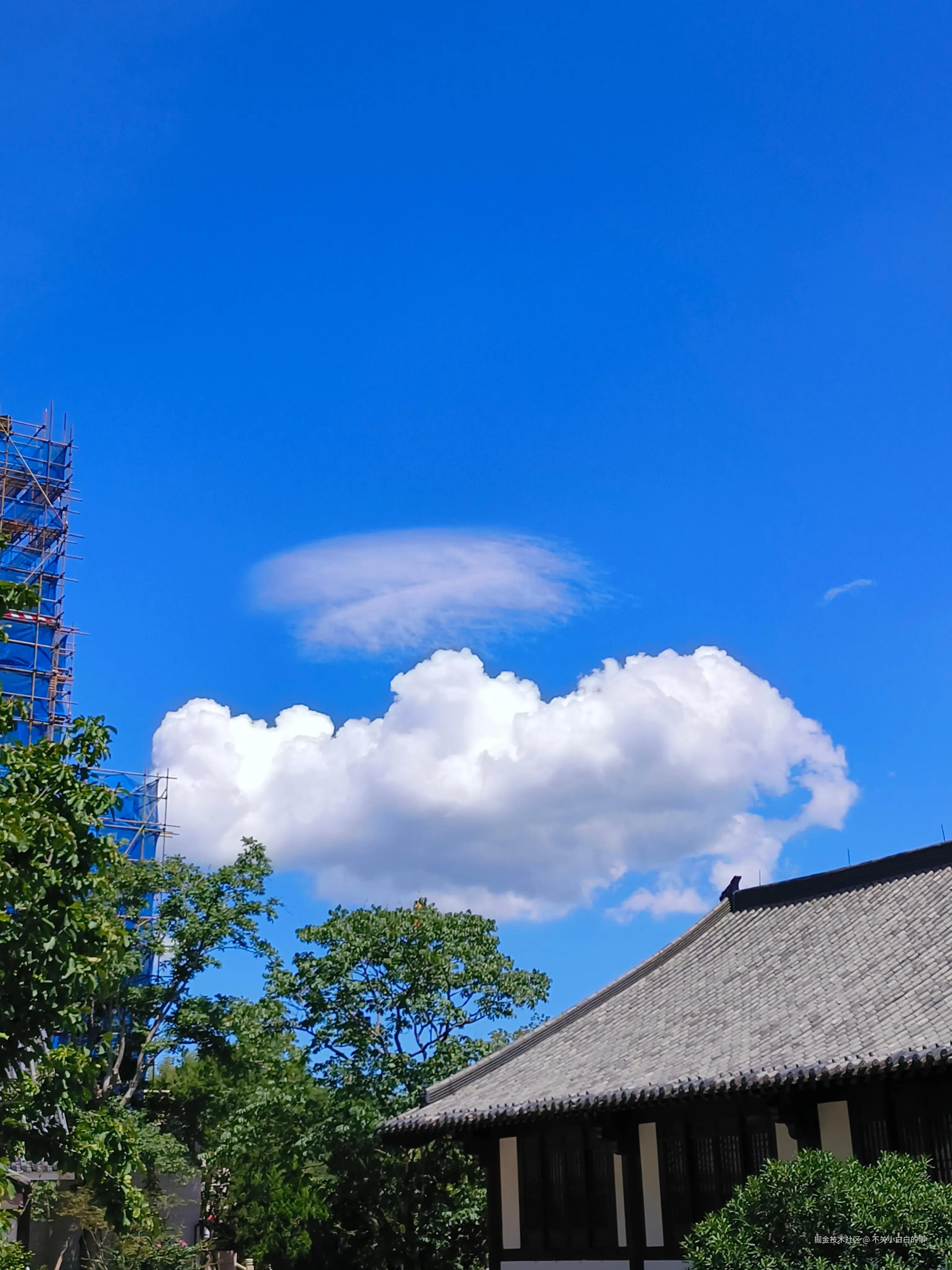 不关小白白的事于2025-08-25 15:39发布的图片