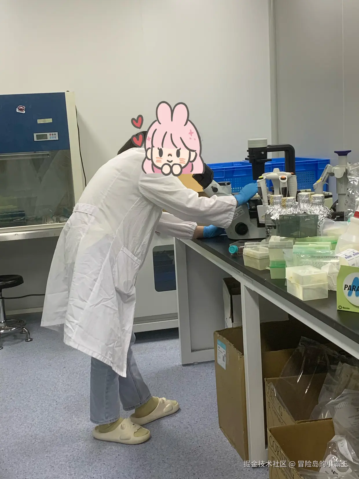 冒险岛的小霸王于2025-10-11 10:25发布的图片