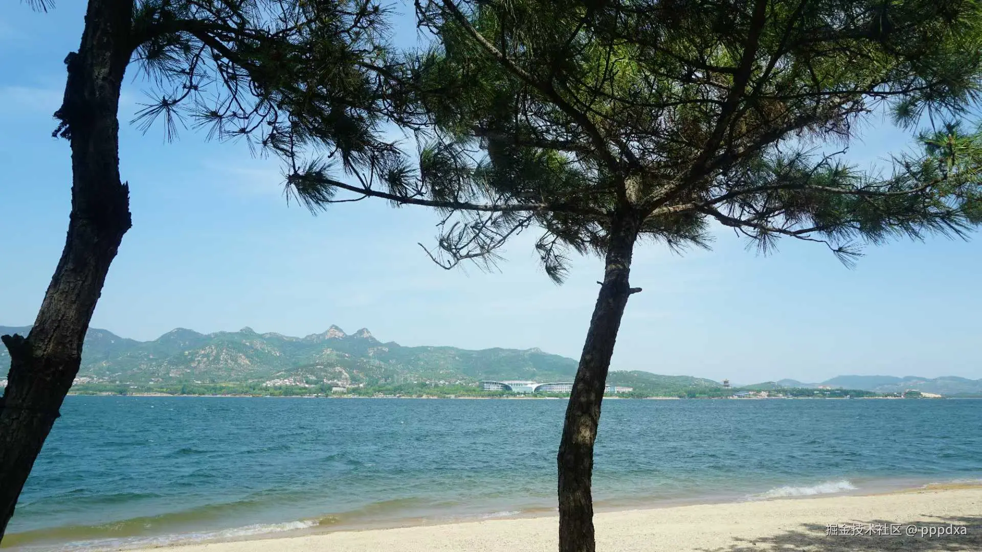 pppdxa于2025-05-20 10:32发布的图片