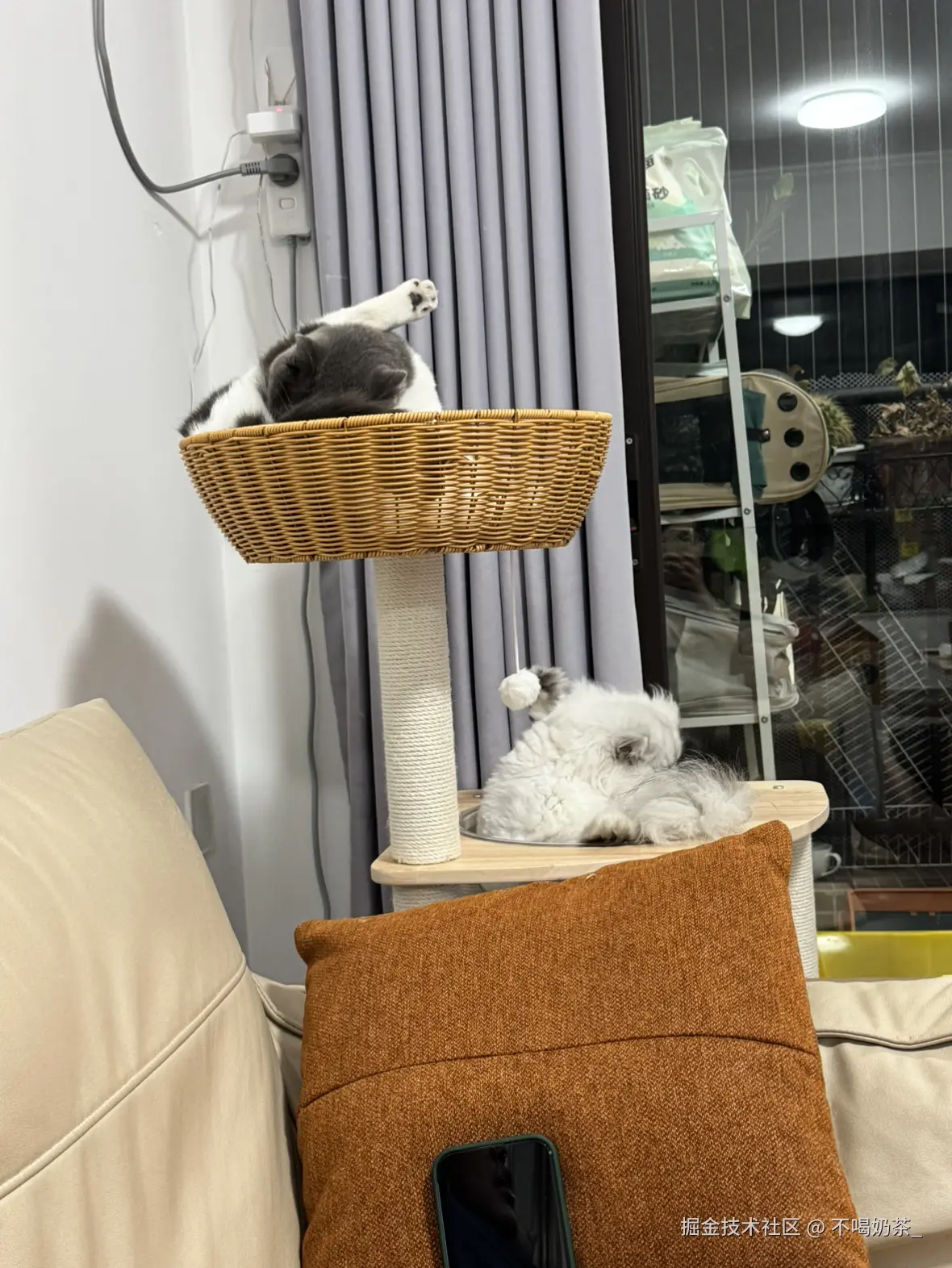 不喝奶茶_于2025-07-14 14:13发布的图片