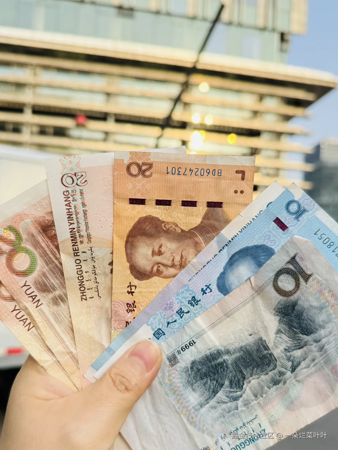 一朵烂菜叶叶于2025-05-21 18:39发布的图片