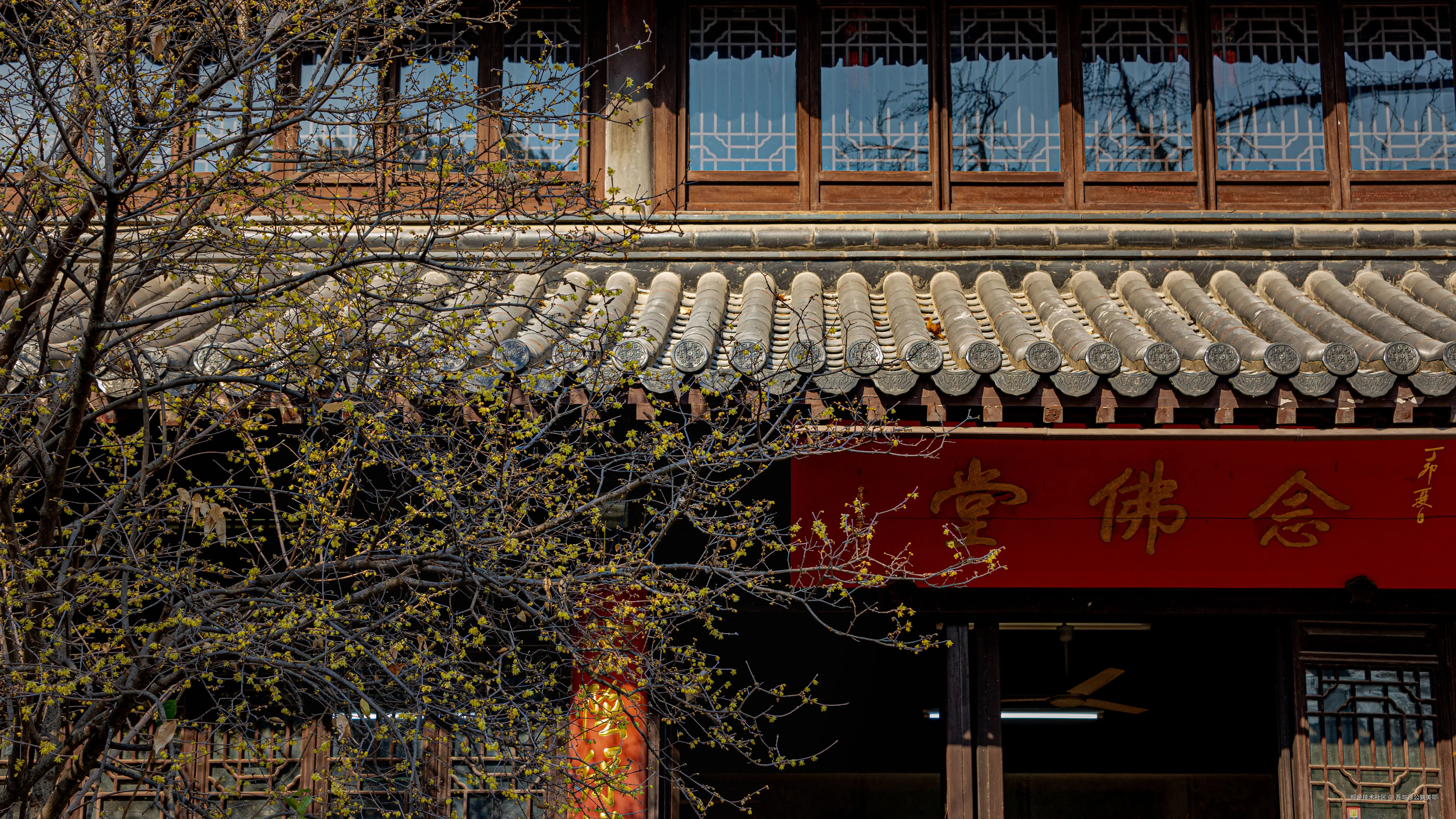 吾与徐公孰美耶于2025-01-16 11:04发布的图片