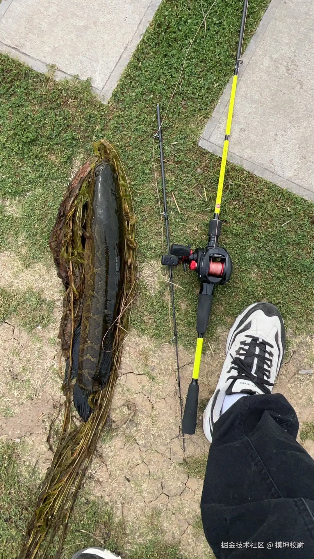 摸坤校尉于2025-05-05 17:04发布的图片