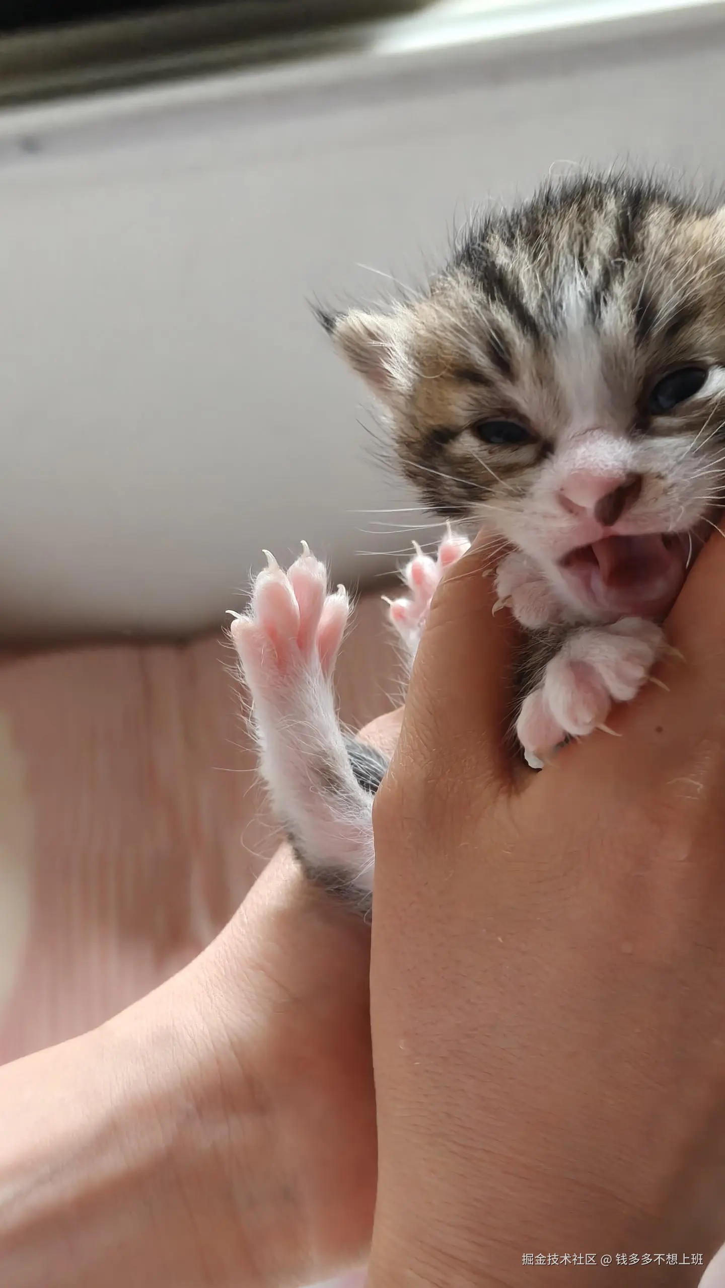 钱多多不想上班于2025-05-08 14:51发布的图片