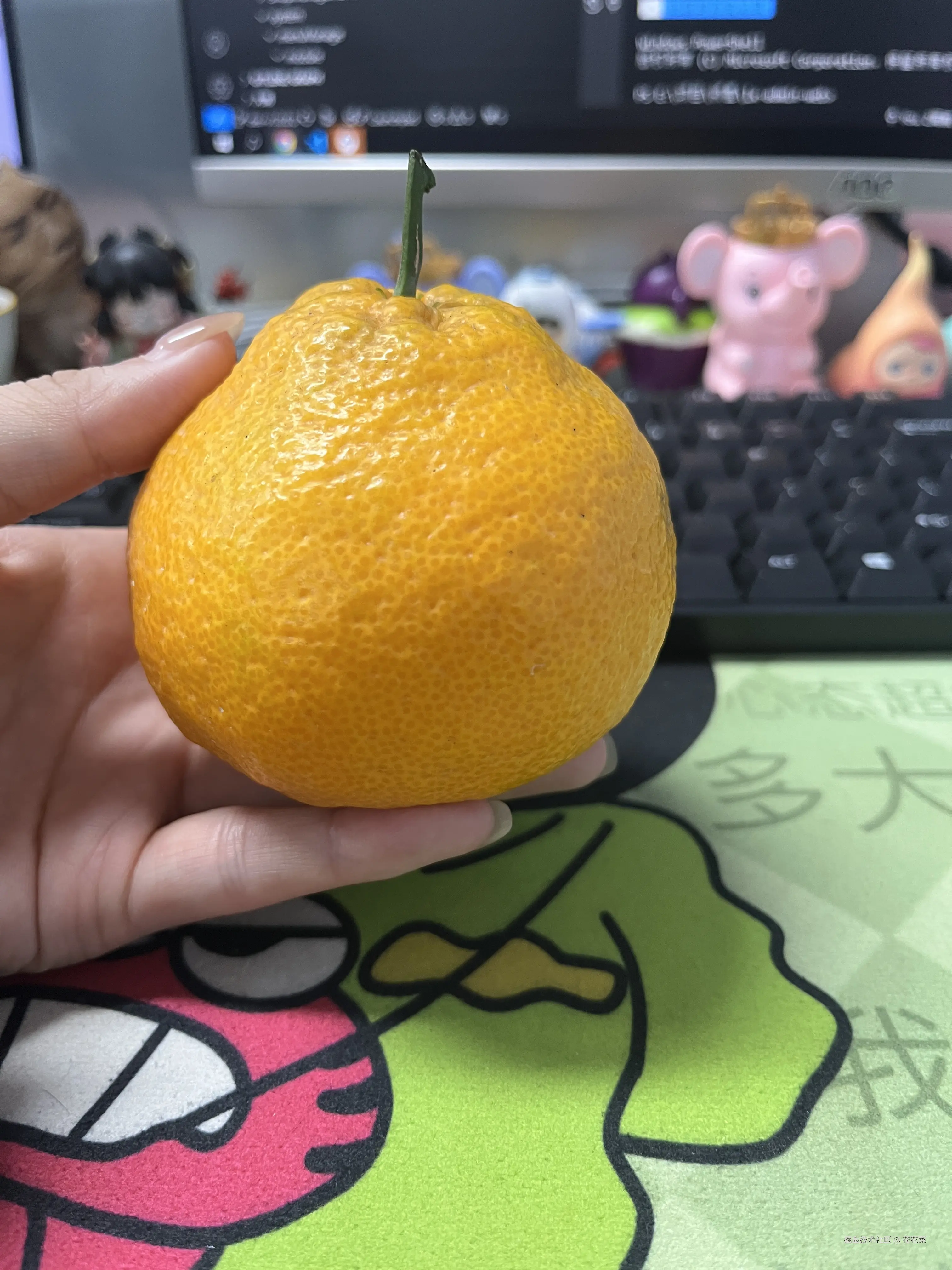 花花菜于2025-11-17 09:37发布的图片