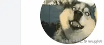 muggle0于2024-09-14 15:04发布的图片