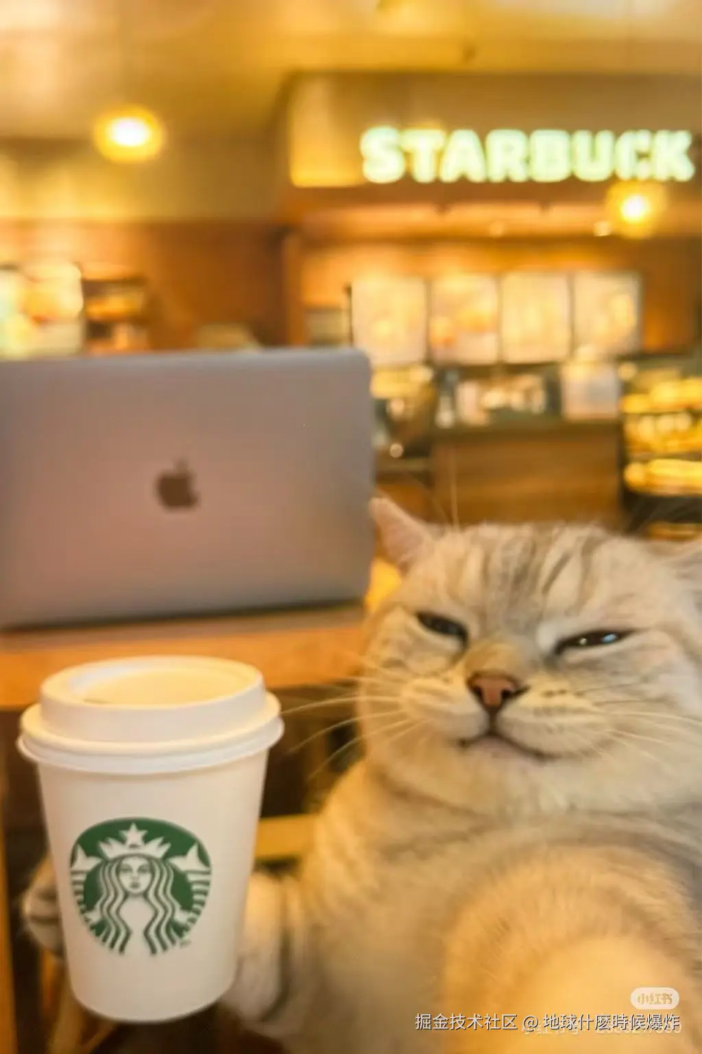 地球什麽時候爆炸于2025-05-21 14:59发布的图片