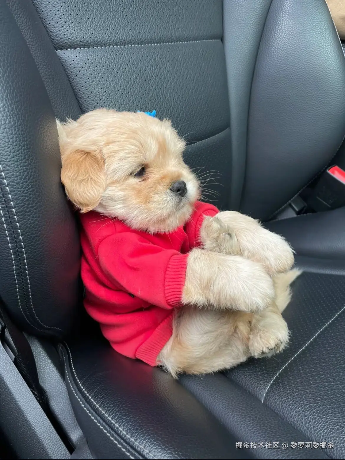 愛萝莉愛掘金于2025-05-16 15:25发布的图片