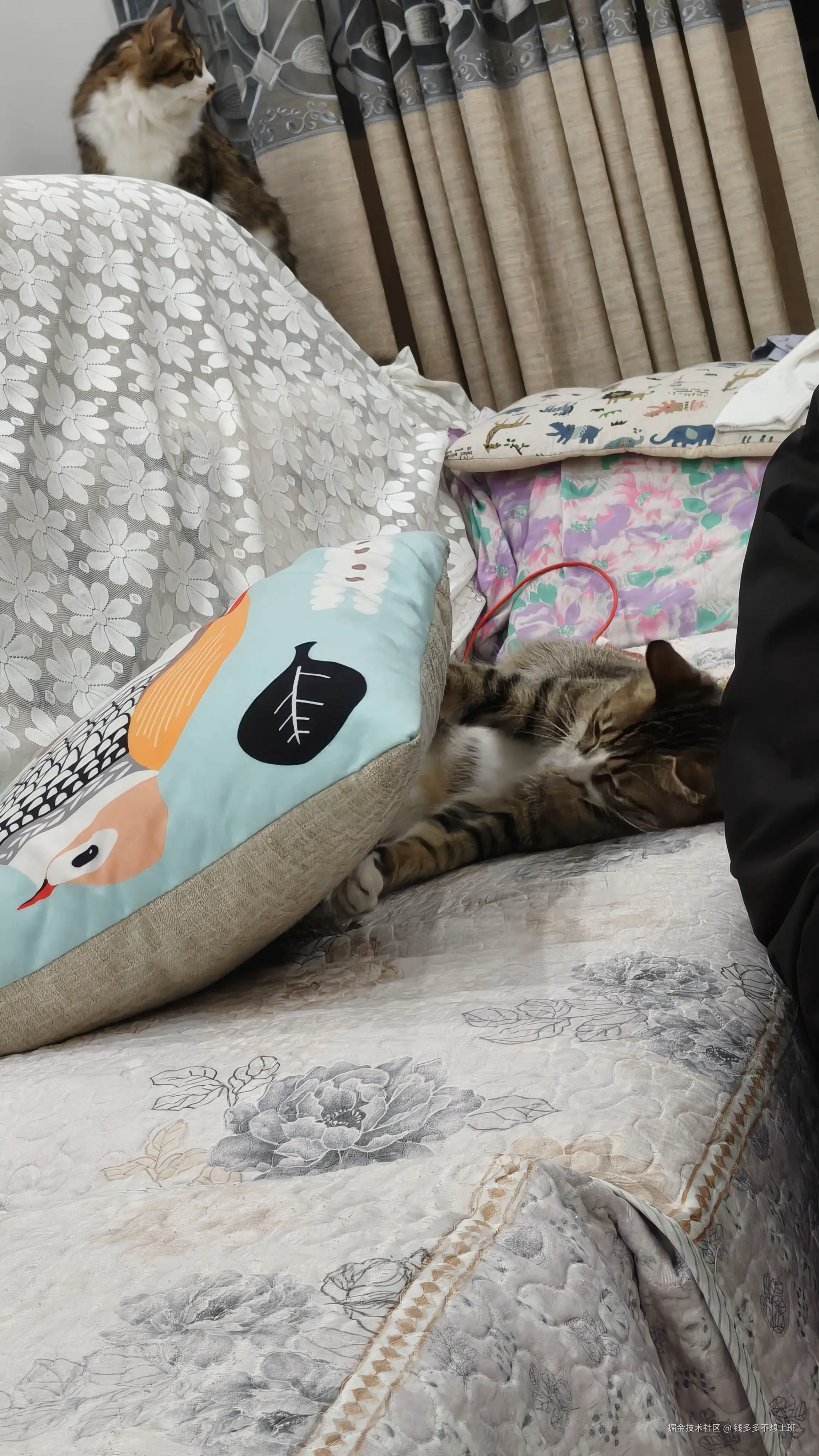 钱多多不想上班于2026-03-03 11:31发布的图片