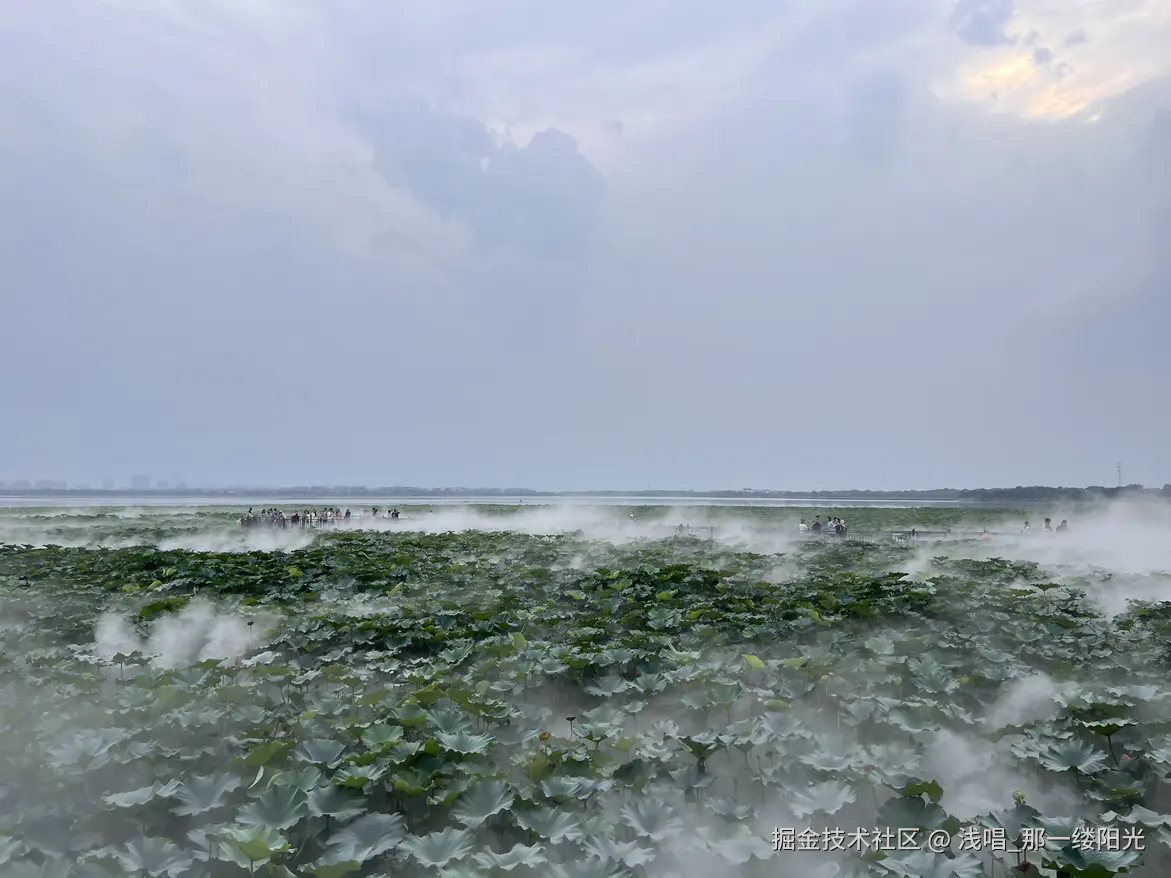 浅唱_那一缕阳光于2025-08-12 09:37发布的图片