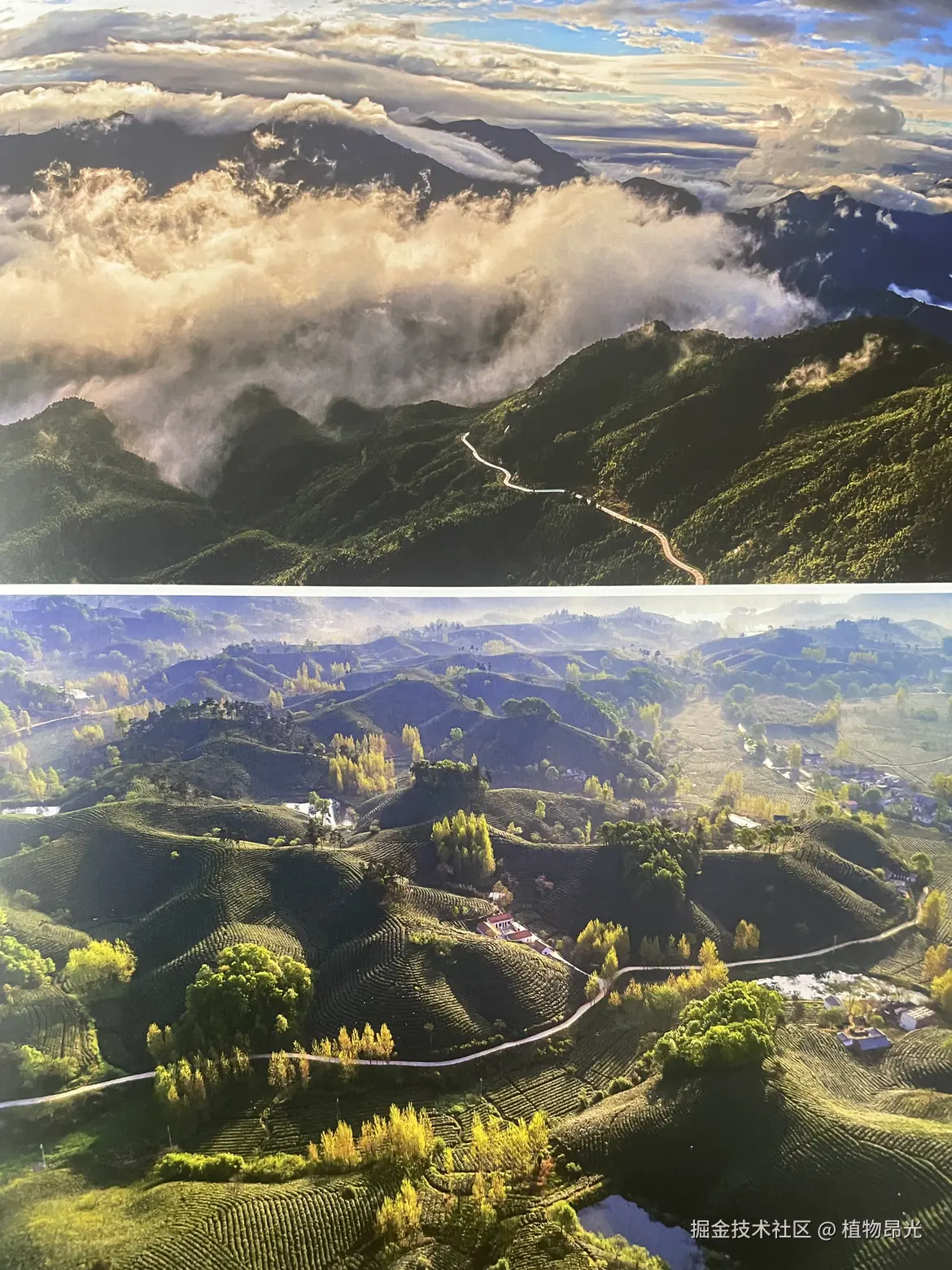 植物昂光于2026-04-12 18:12发布的图片