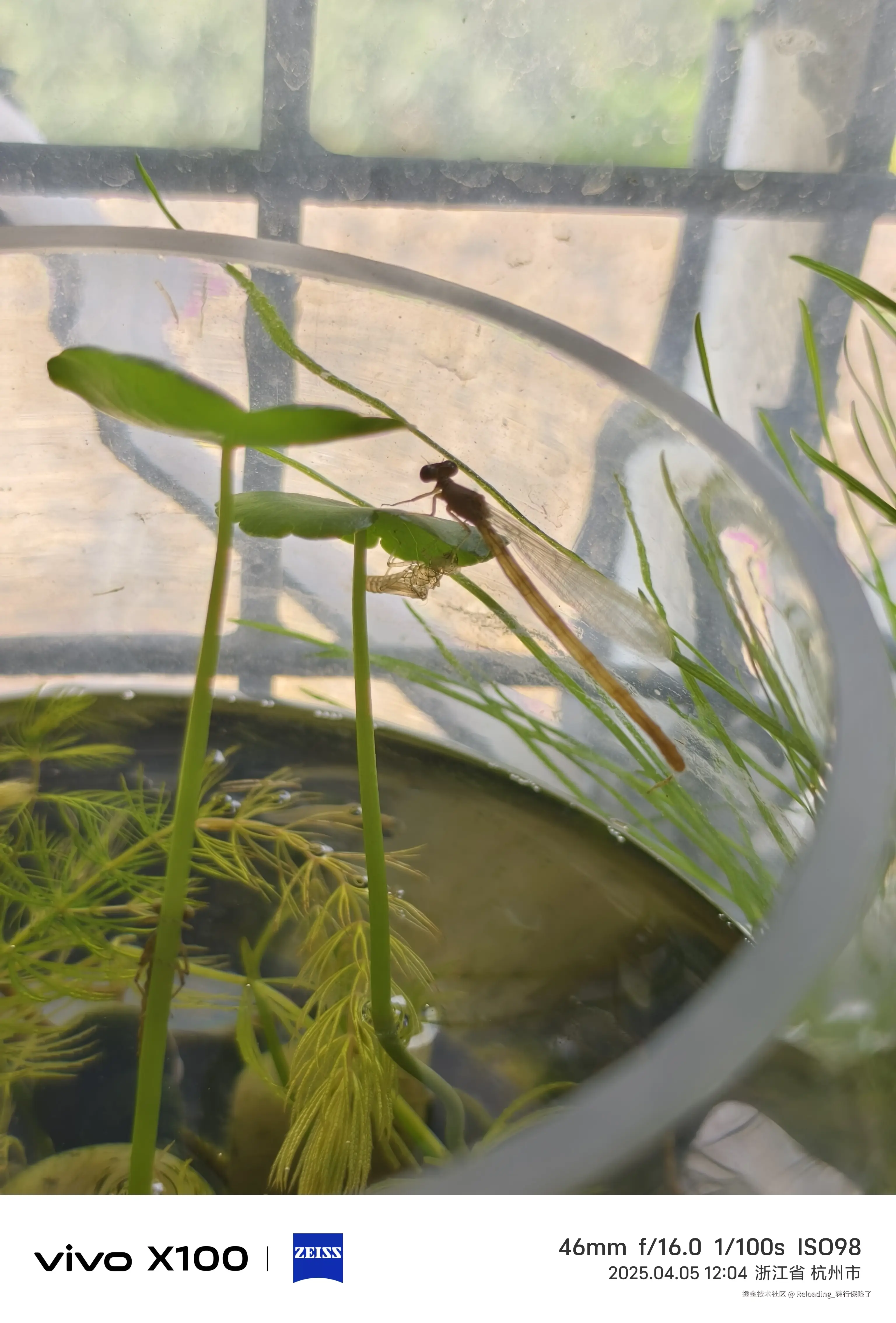 Reloading_转行保险了于2025-04-05 15:17发布的图片