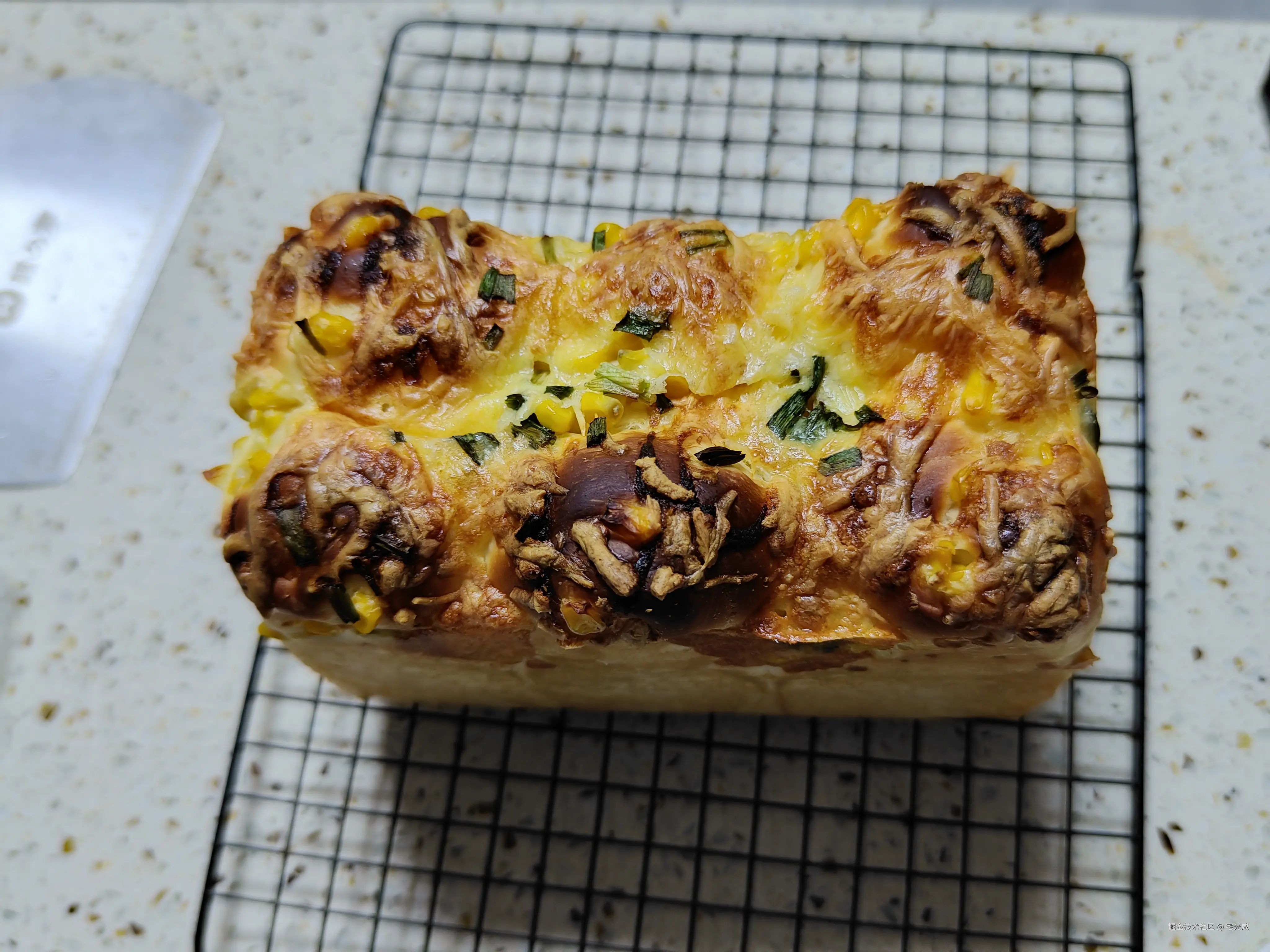 宅光咸于2026-01-26 08:57发布的图片