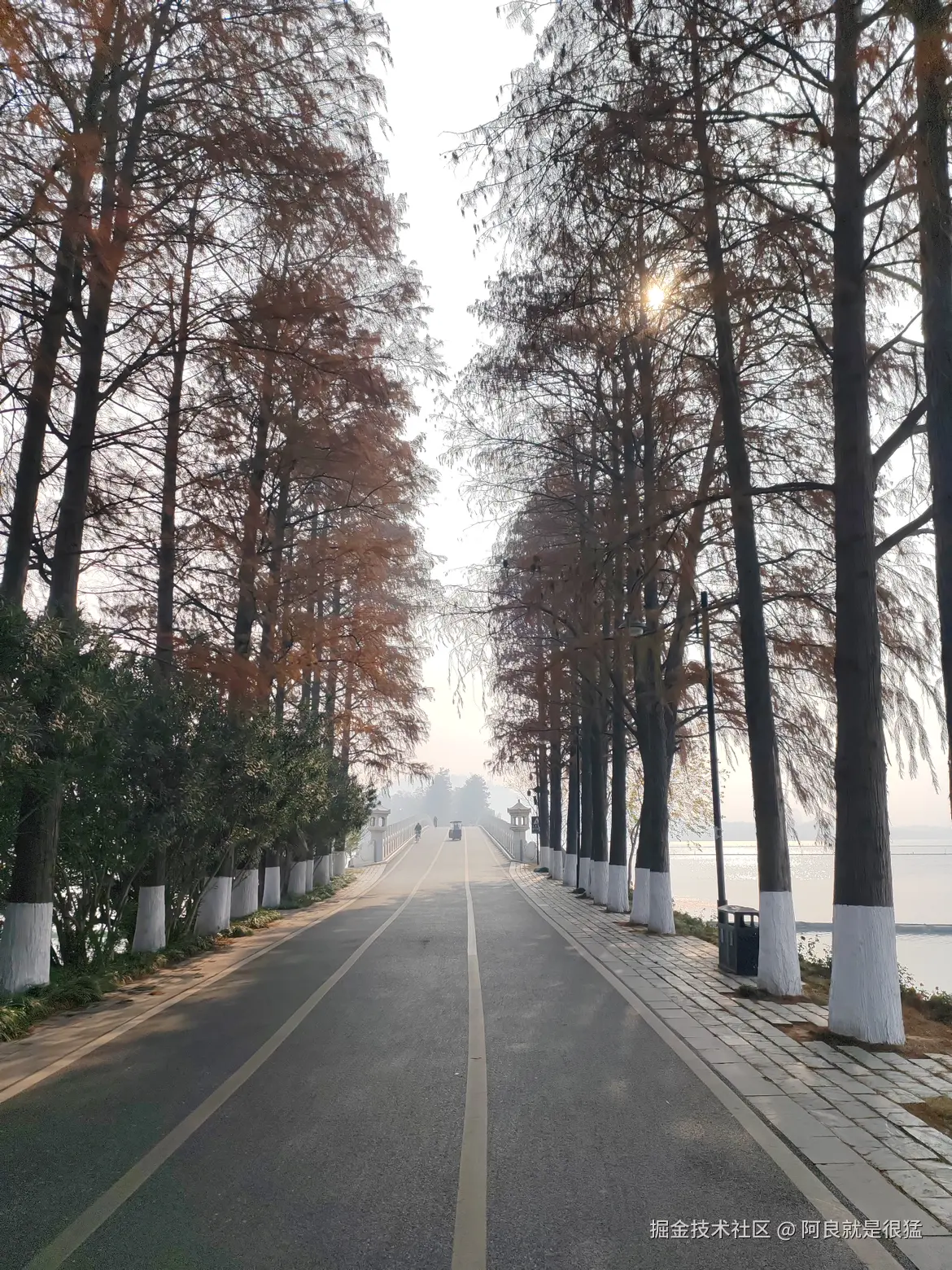 阿良就是很猛于2025-12-18 01:59发布的图片