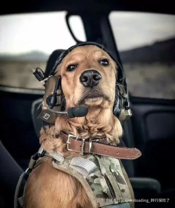 Reloading_转行保险了于2025-01-27 09:17发布的图片