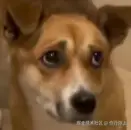 你行你上于2026-02-10 16:57发布的图片