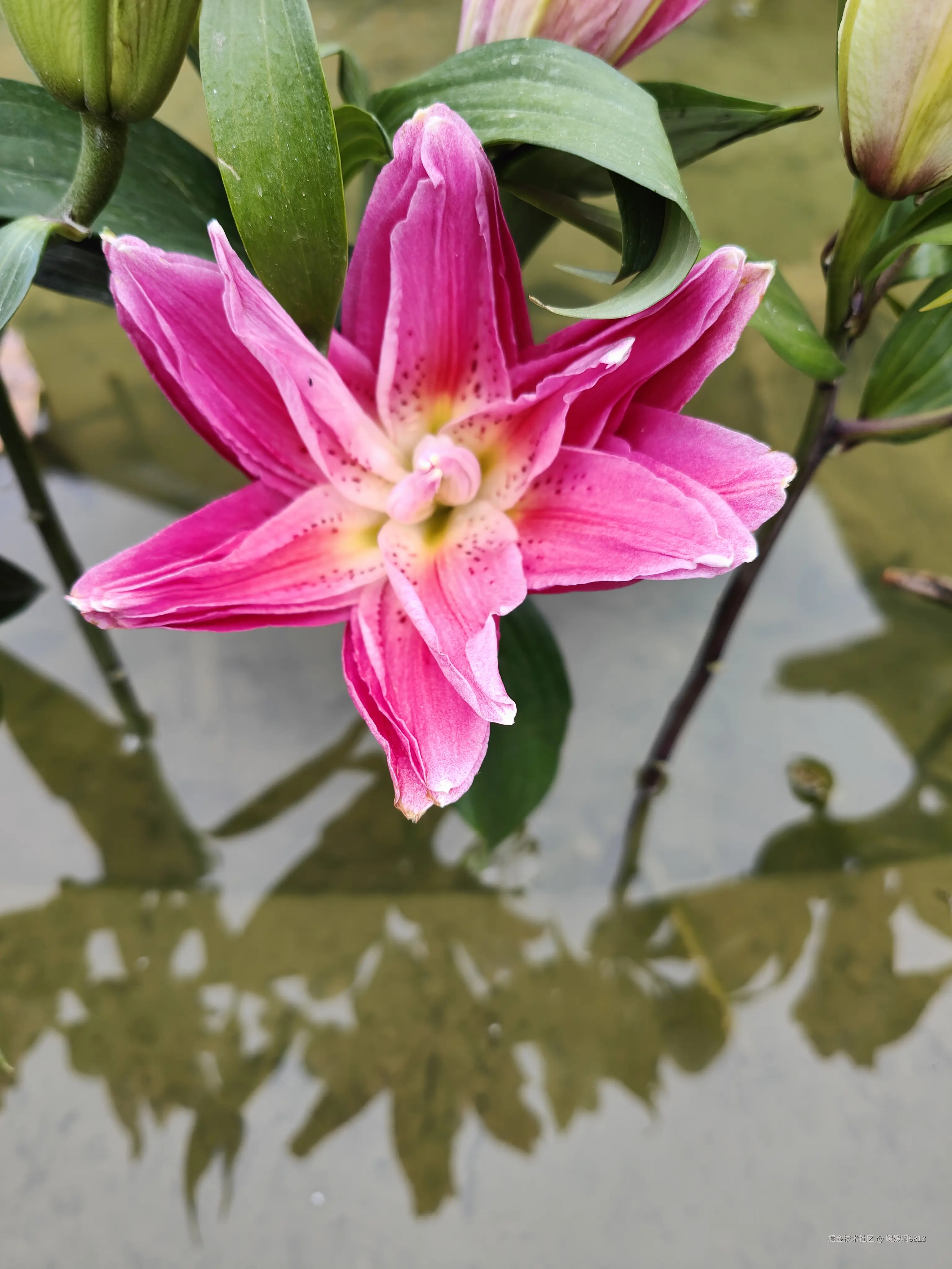 媛媛啊9813于2025-11-02 11:27发布的图片