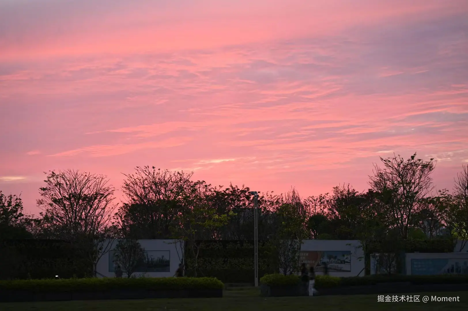 Moment于2025-05-12 11:33发布的图片