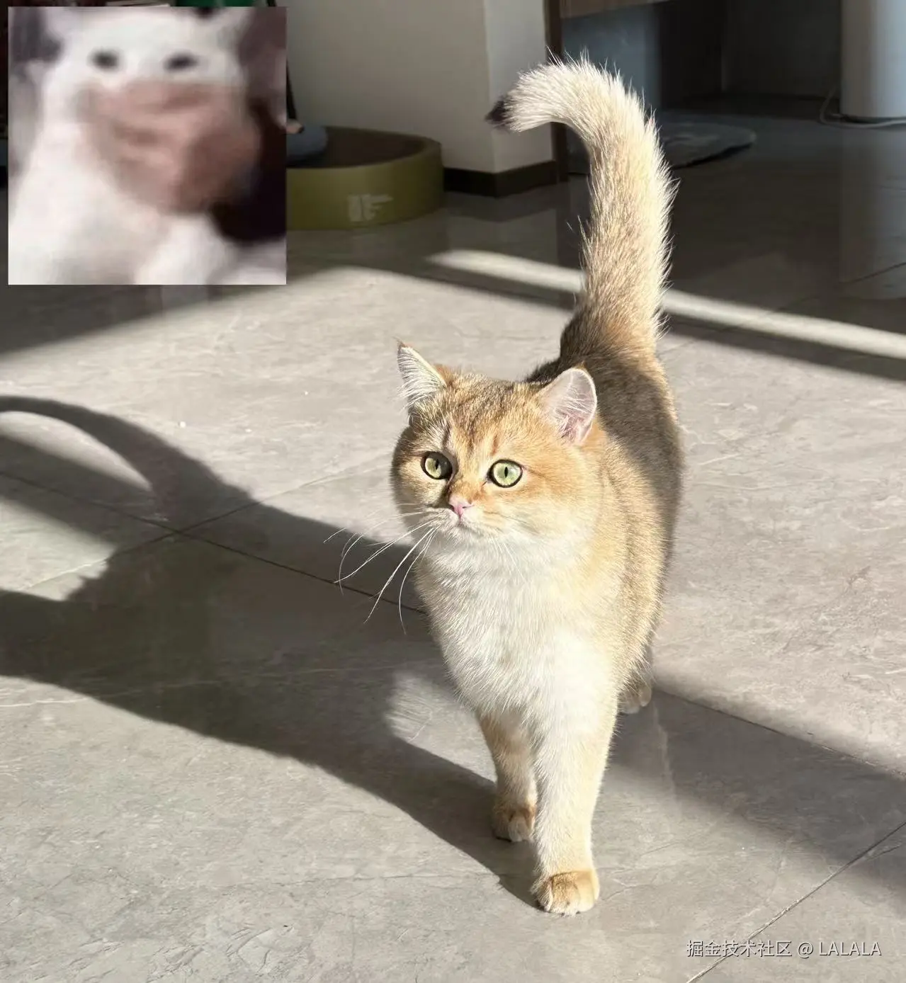 LALALA于2026-04-16 15:13发布的图片