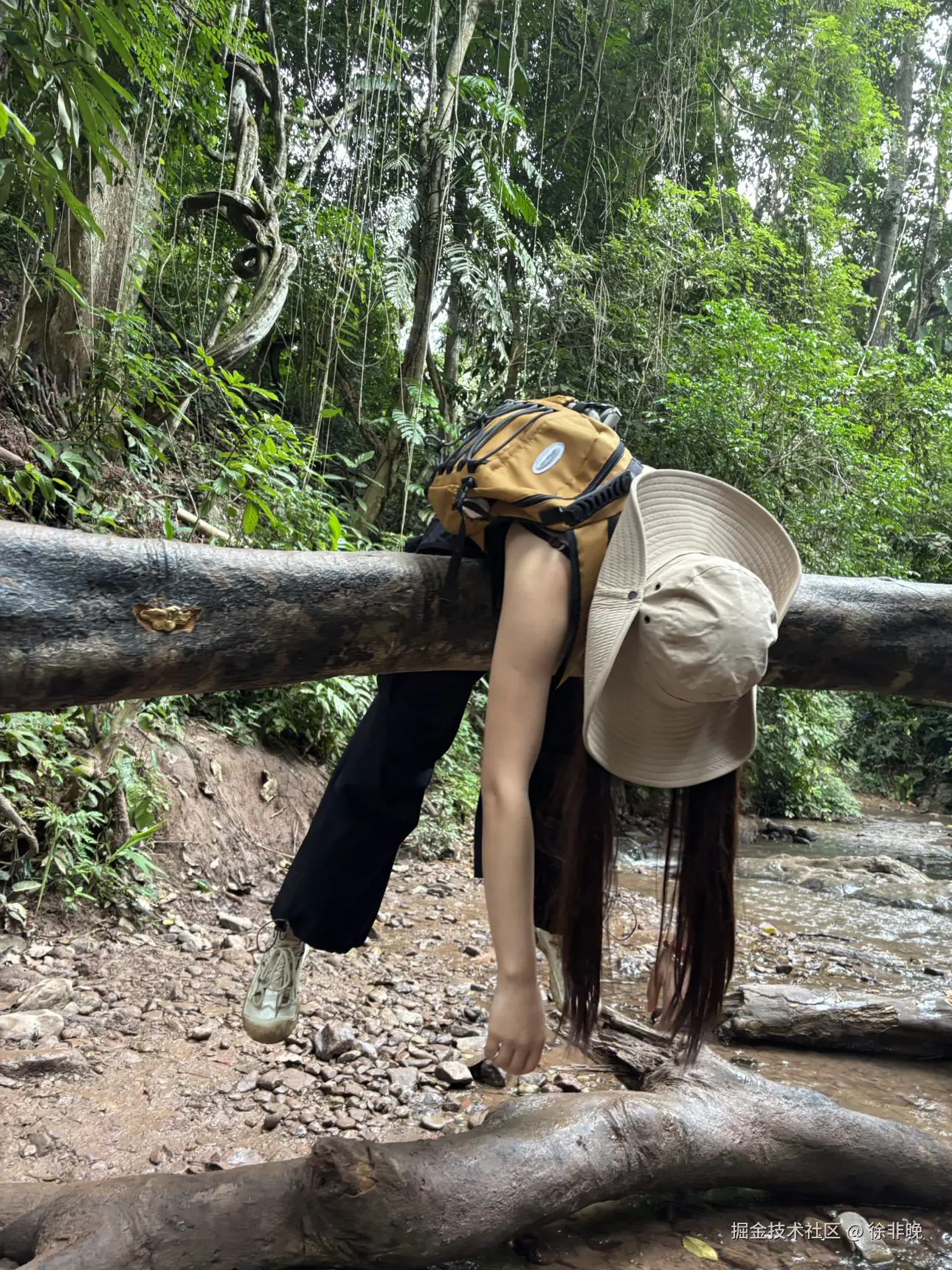 徐非晚于2024-12-03 06:37发布的图片