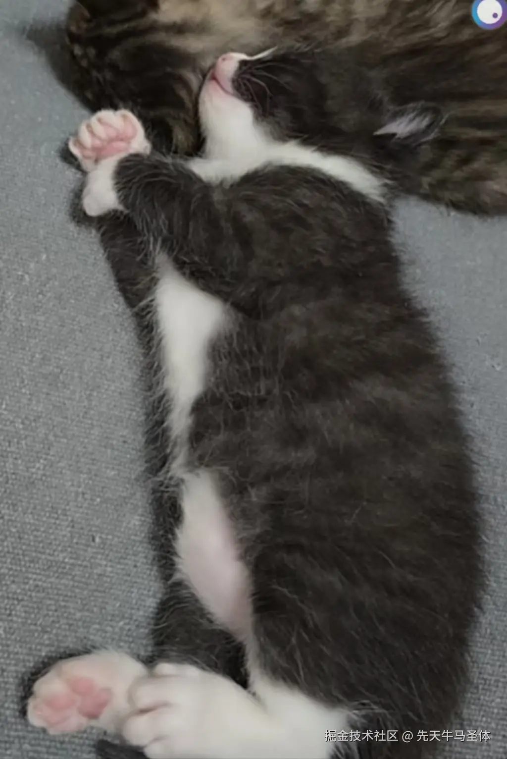 先天牛马圣体于2025-04-15 10:05发布的图片