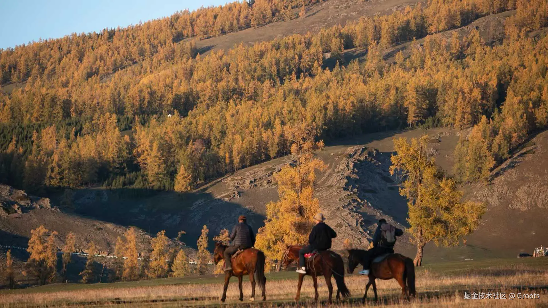 Groots于2025-09-29 01:56发布的图片