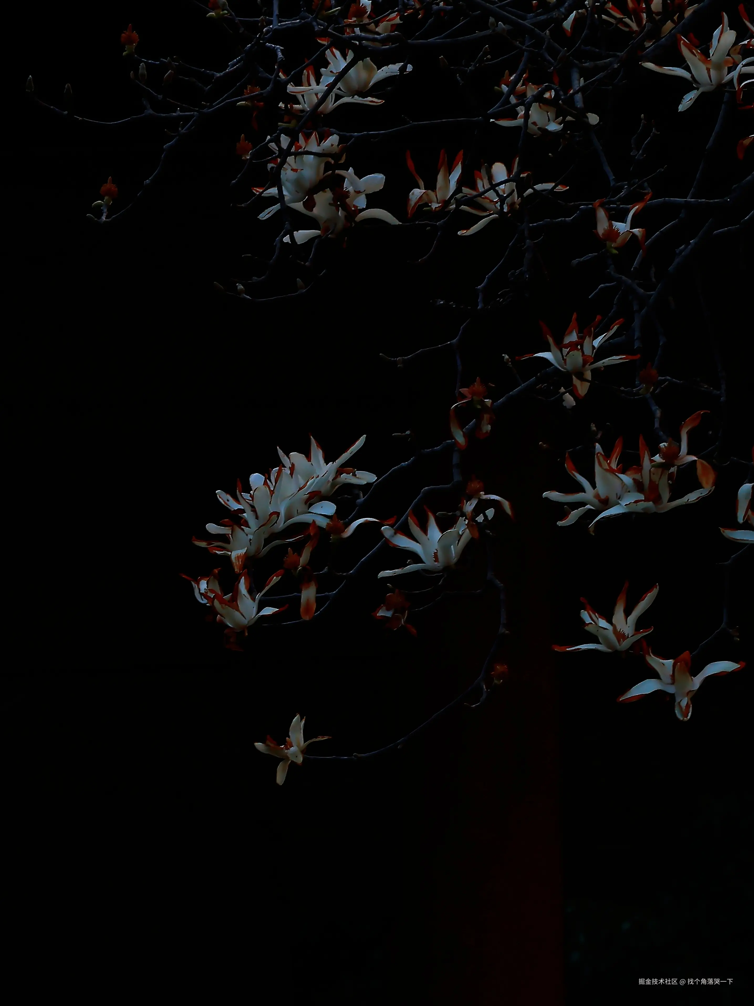 找个角落哭一下于2026-03-23 09:30发布的图片