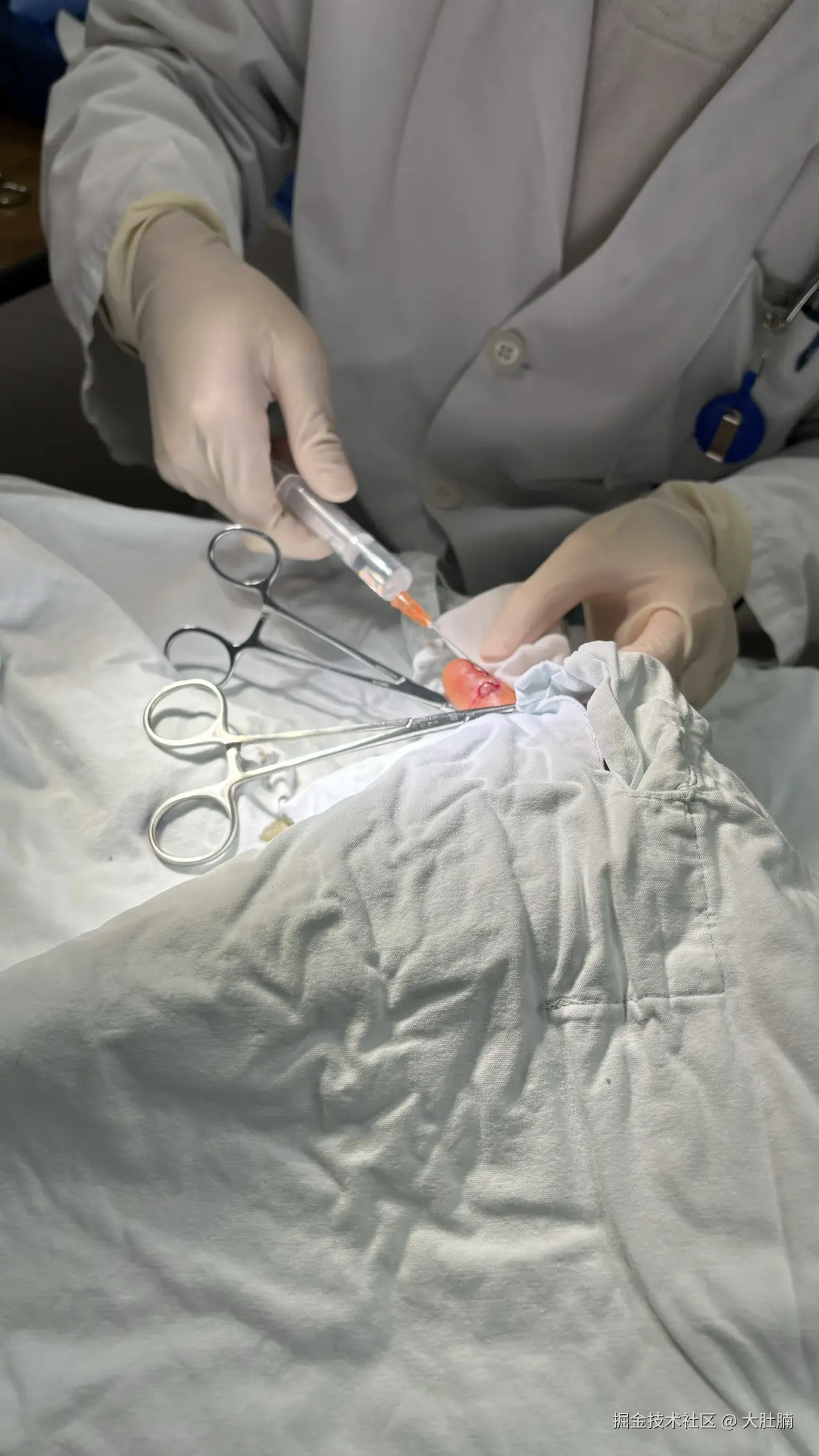 大肚腩于2026-01-20 21:41发布的图片