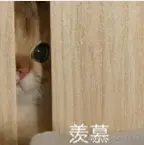 狗熊岭在逃翠花于2025-10-16 16:10发布的图片