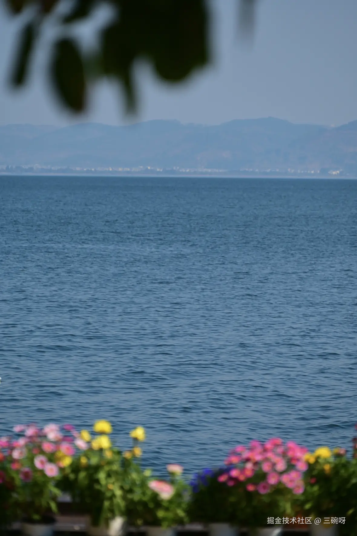 三碗呀于2026-03-12 13:06发布的图片