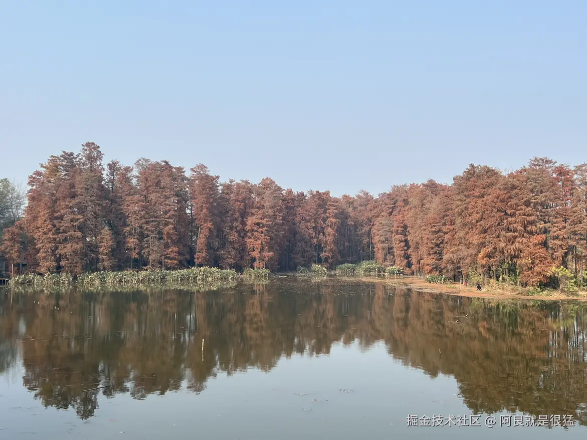 阿良就是很猛于2025-12-18 01:59发布的图片