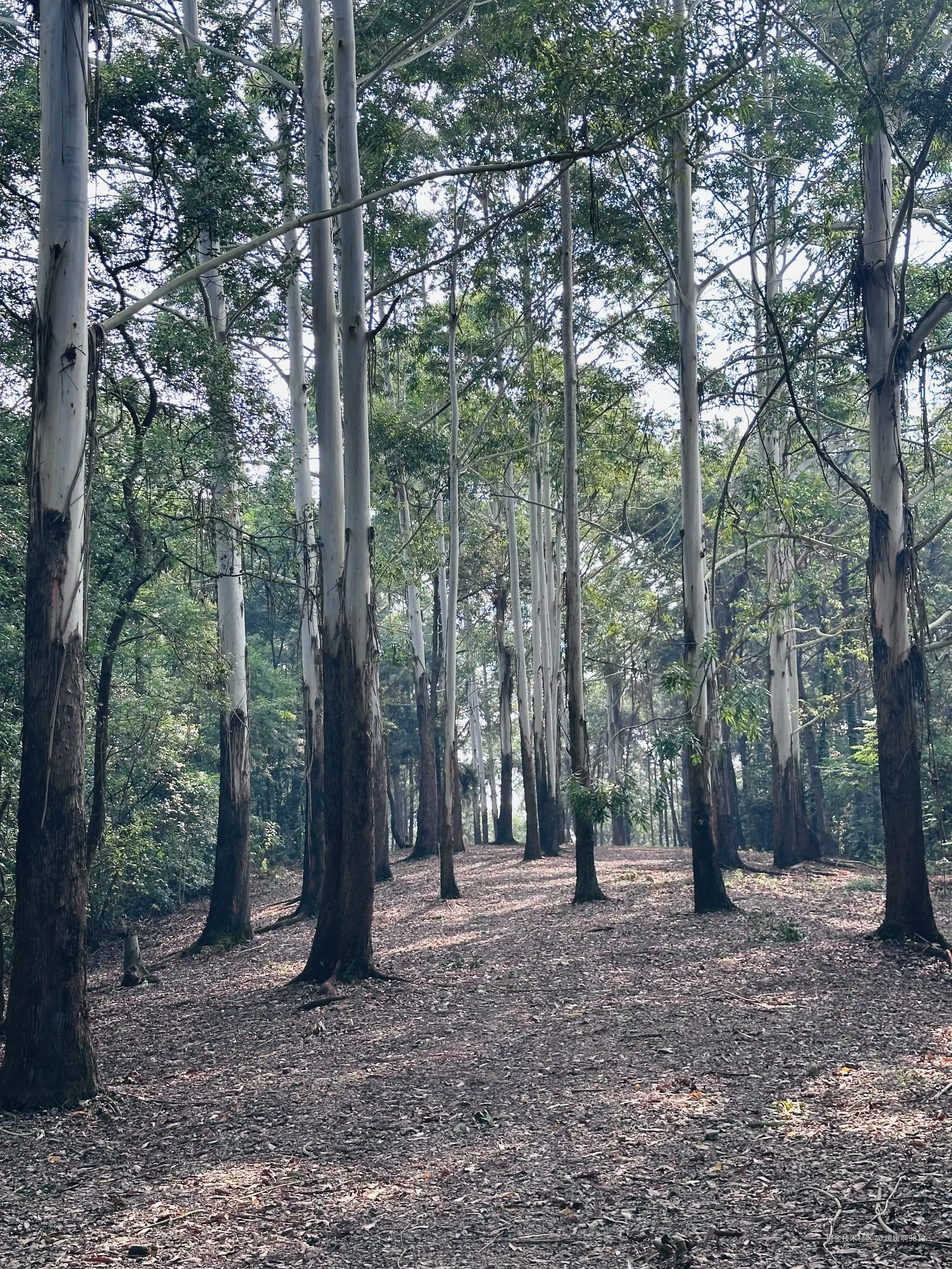 媛媛啊9813于2025-09-21 23:16发布的图片