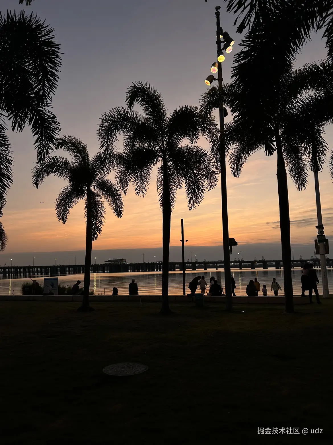 udz于2025-04-09 09:15发布的图片