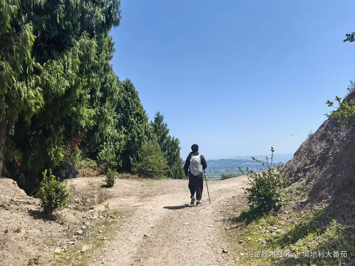 奥地利大番茄于2025-03-24 10:28发布的图片